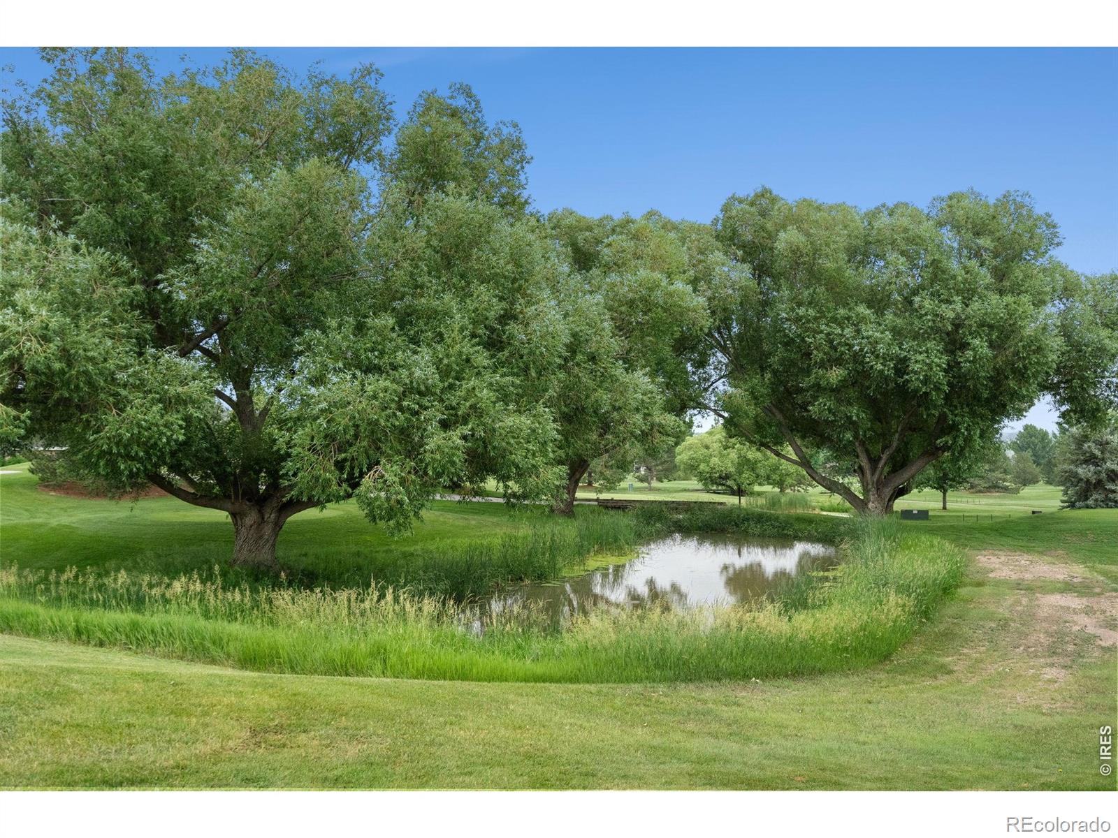 MLS Image #41 for 7252  carner court,fort collins, Colorado