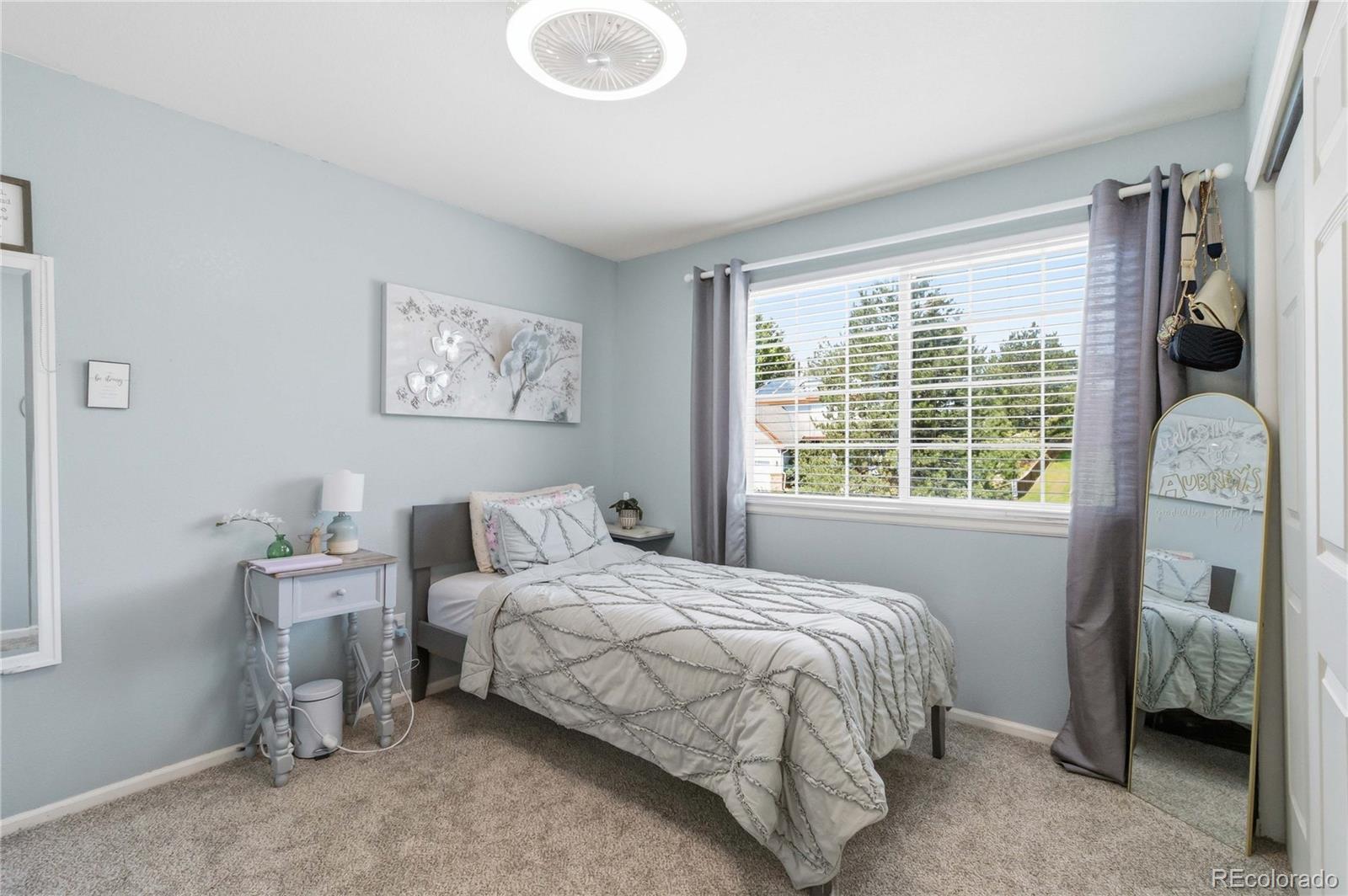 MLS Image #24 for 10306  mica way,parker, Colorado