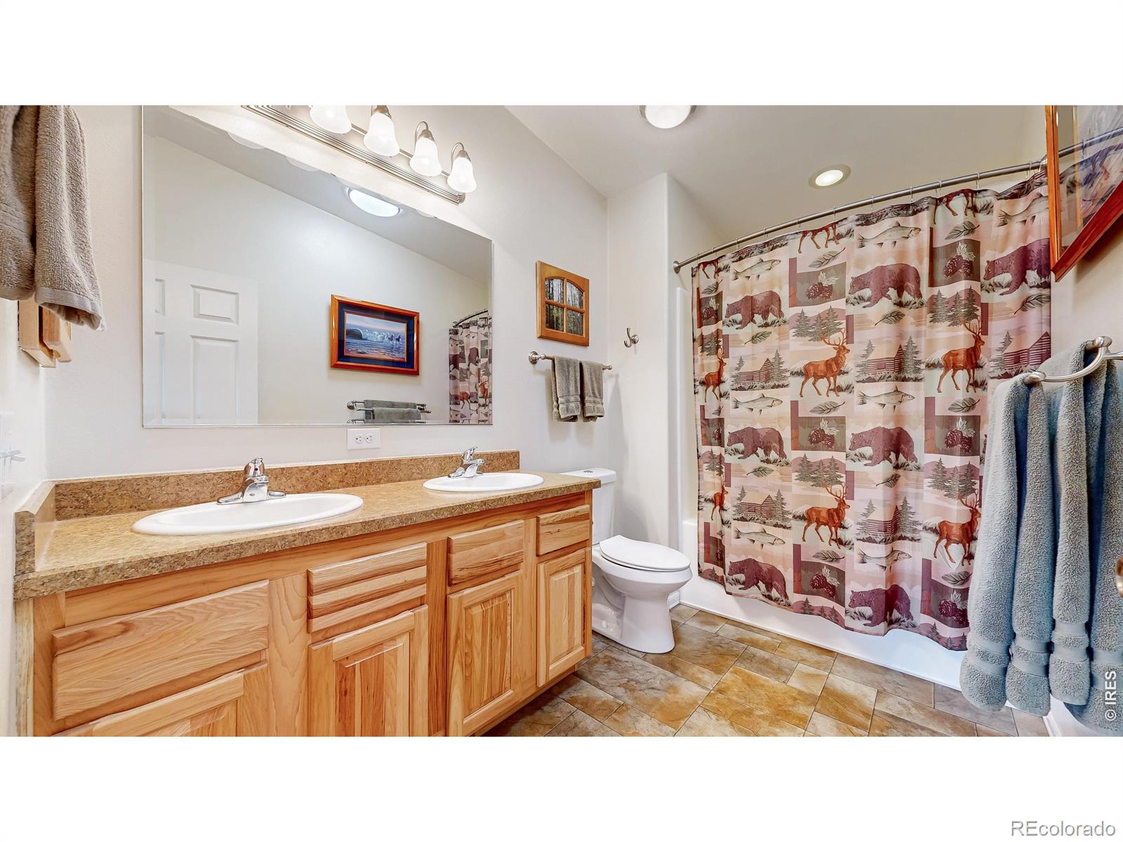MLS Image #19 for 572  horse mountain drive,livermore, Colorado