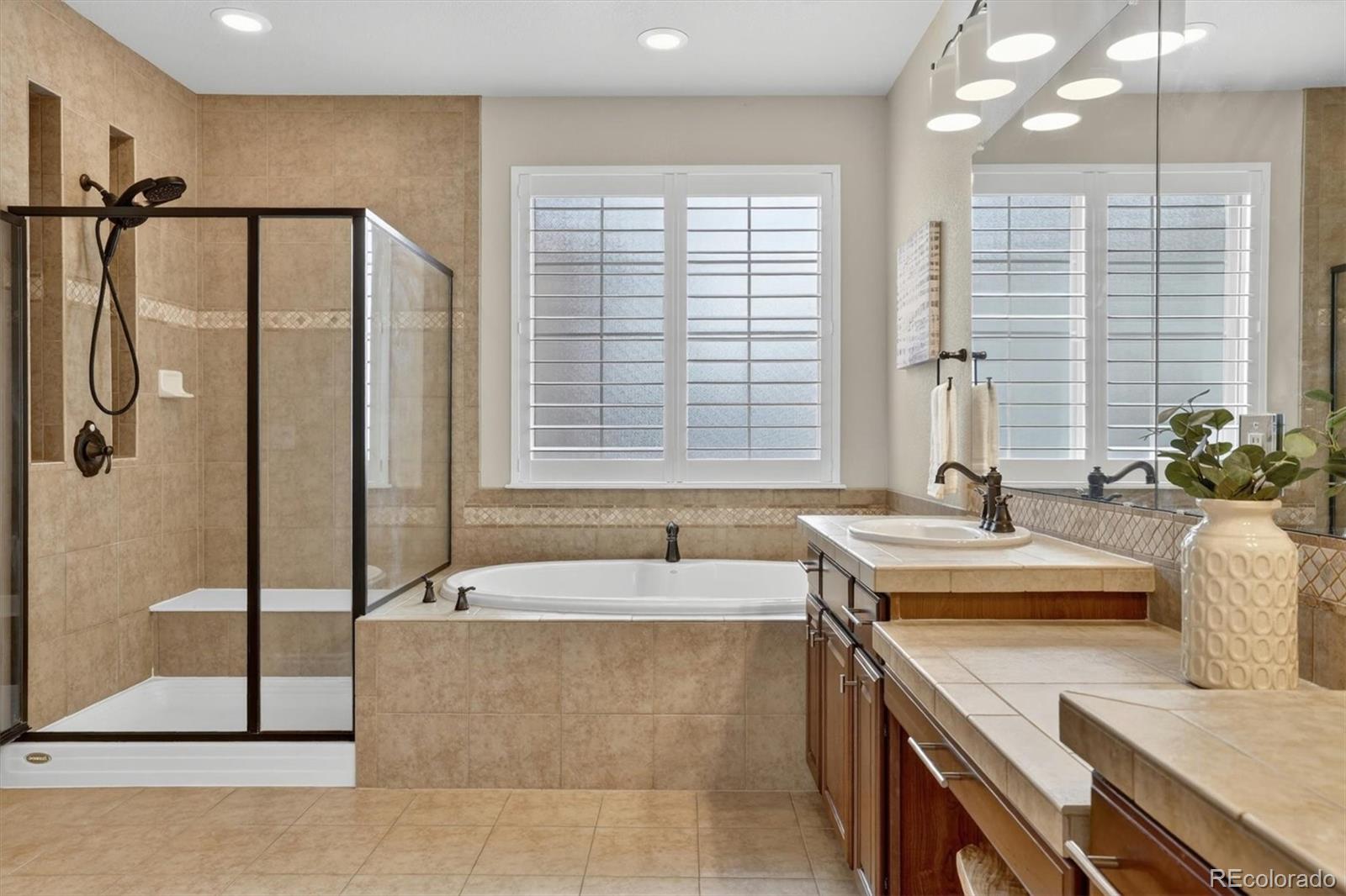 MLS Image #19 for 10126  ridgegate circle,lone tree, Colorado