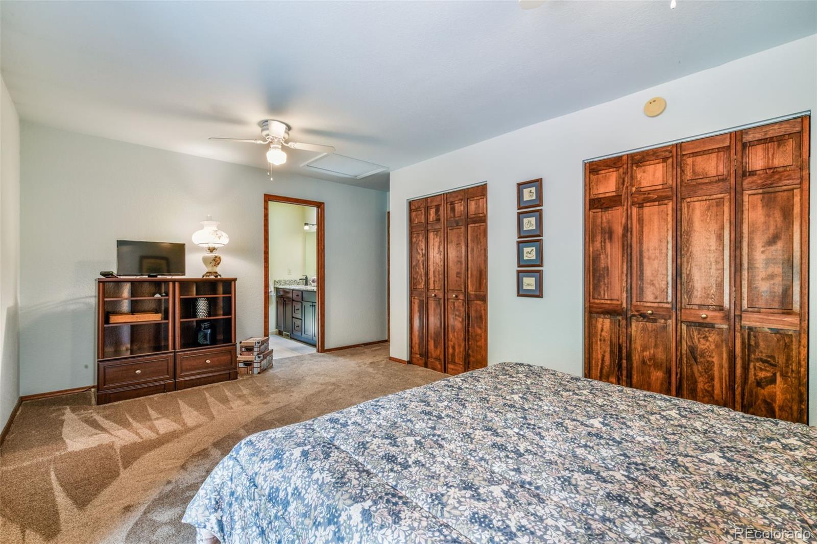MLS Image #25 for 1402  mica lane,colorado springs, Colorado