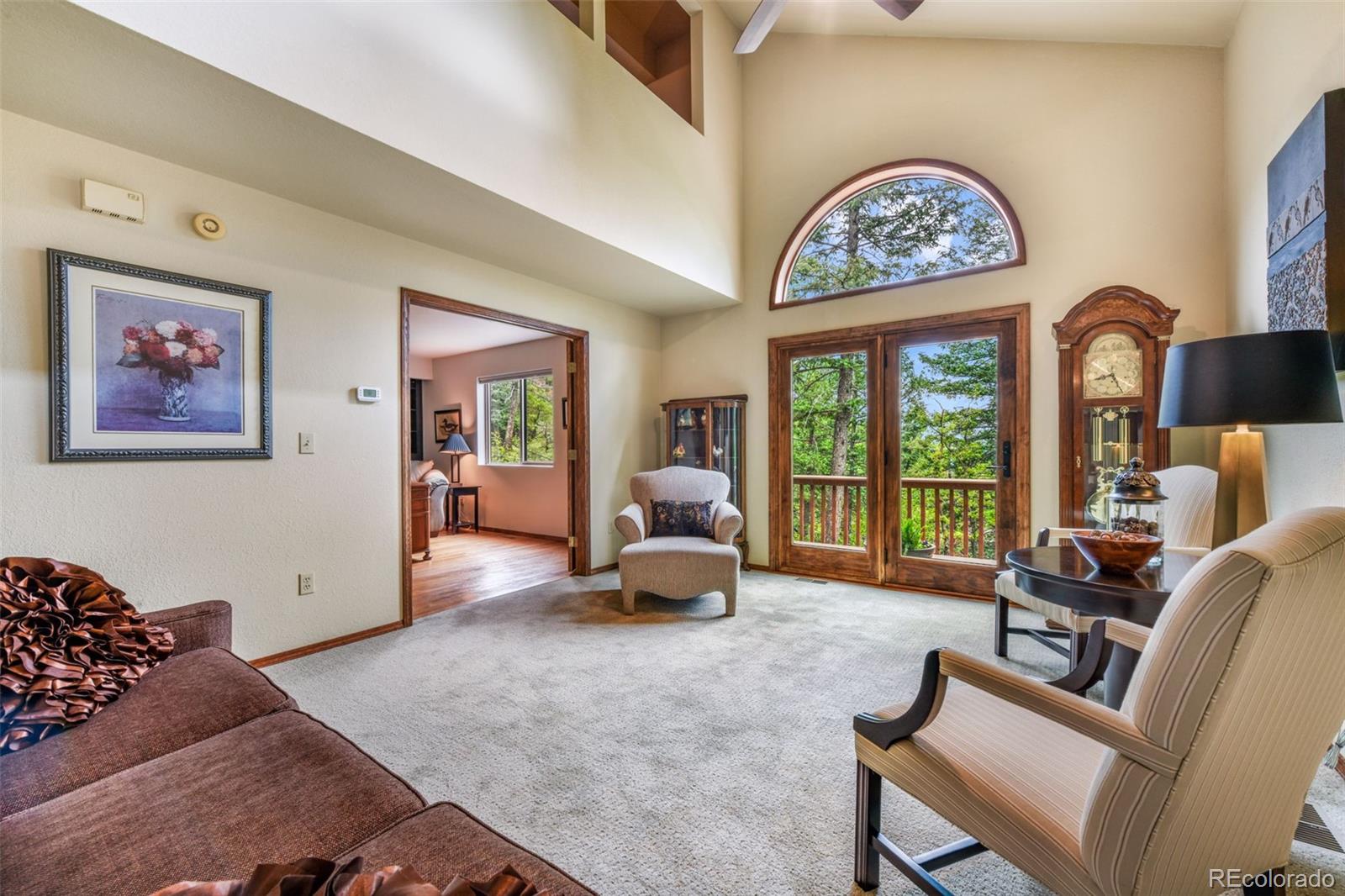 MLS Image #8 for 1402  mica lane,colorado springs, Colorado