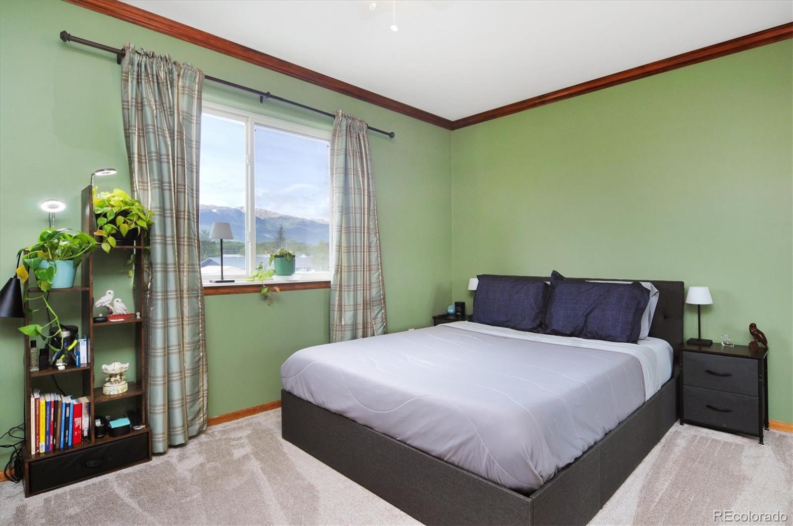 MLS Image #12 for 172  larissa lane,buena vista, Colorado