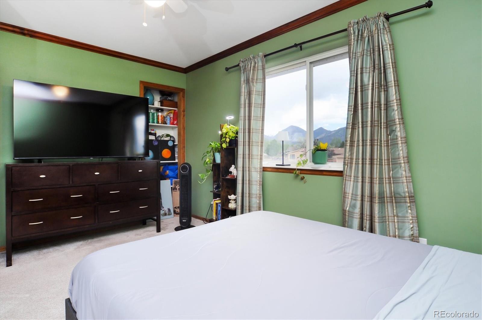 MLS Image #13 for 172  larissa lane,buena vista, Colorado