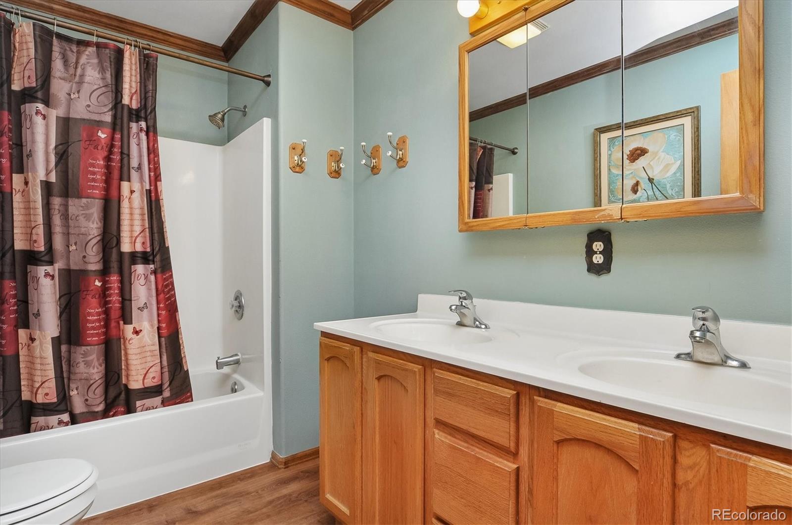 MLS Image #14 for 172  larissa lane,buena vista, Colorado