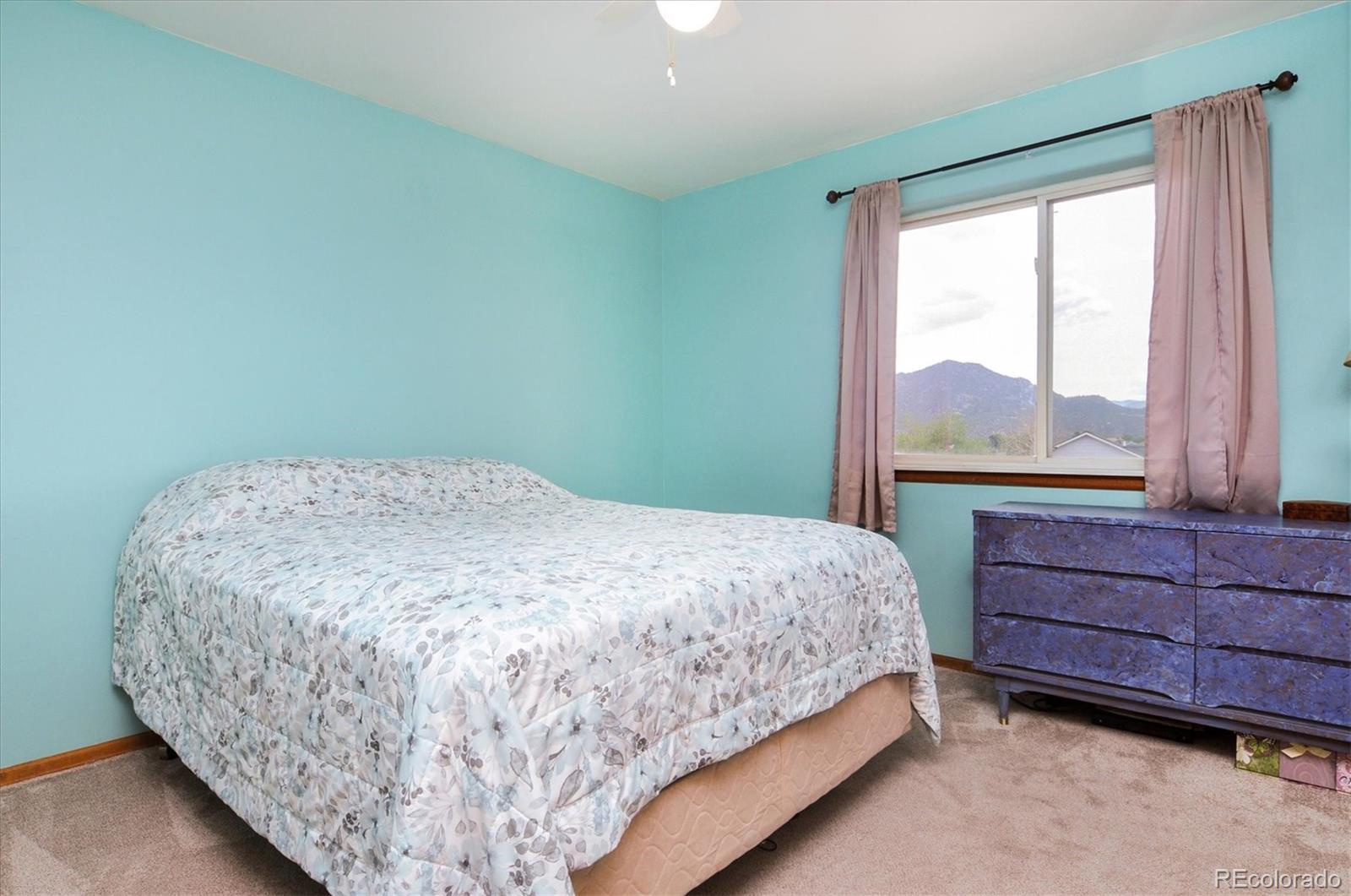 MLS Image #15 for 172  larissa lane,buena vista, Colorado