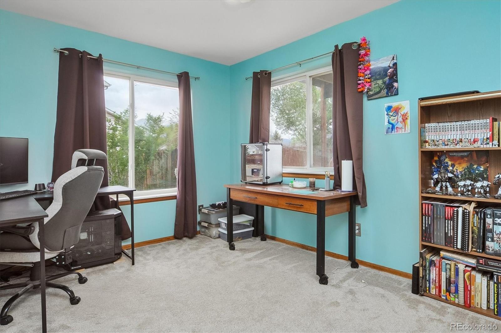 MLS Image #18 for 172  larissa lane,buena vista, Colorado