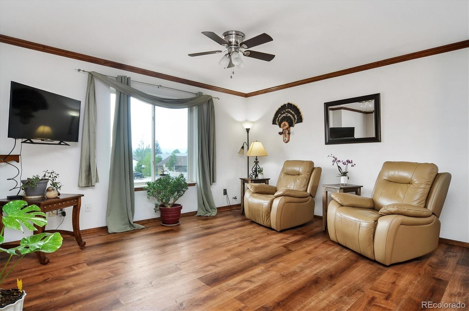 MLS Image #2 for 172  larissa lane,buena vista, Colorado