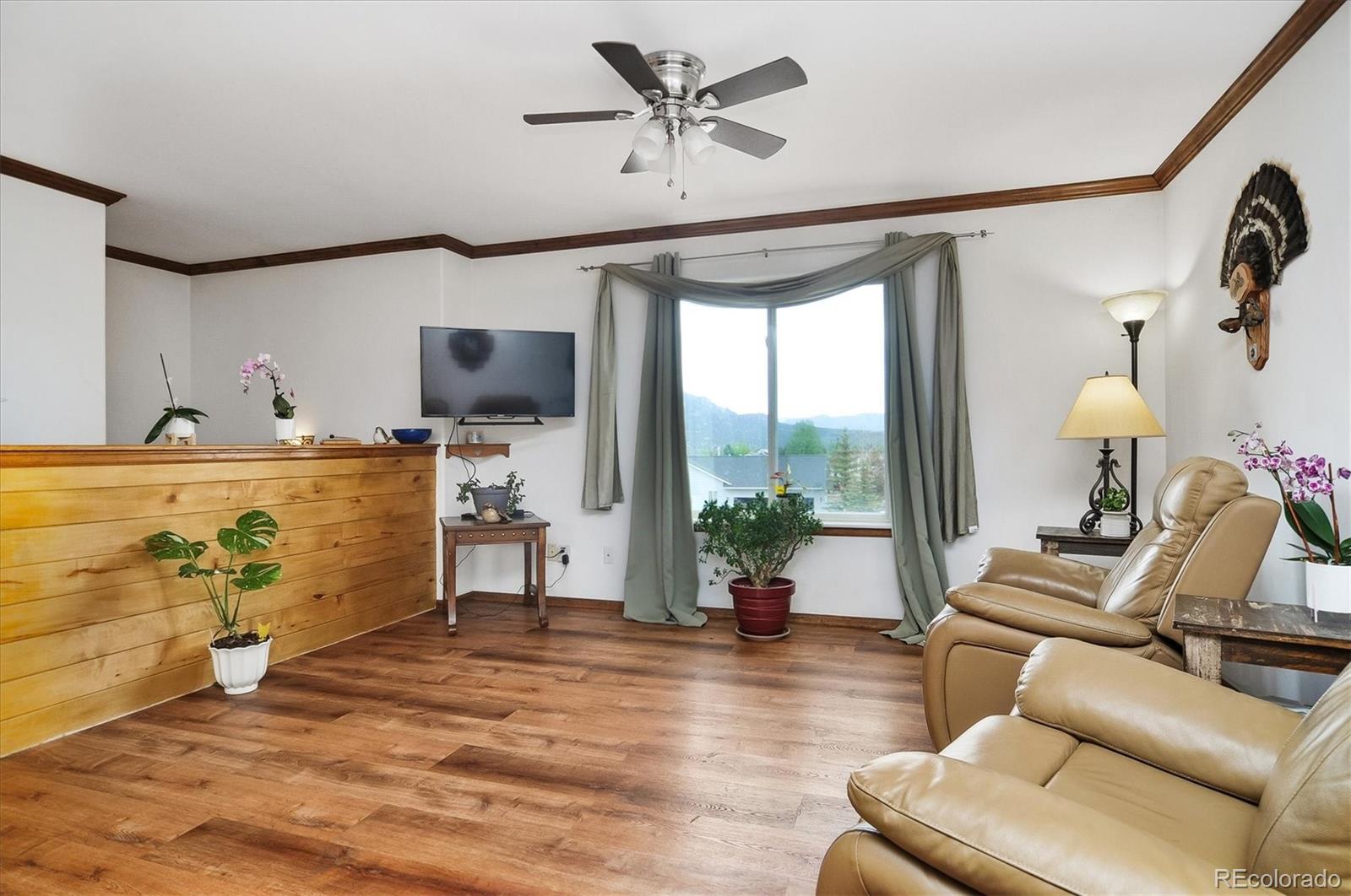 MLS Image #3 for 172  larissa lane,buena vista, Colorado