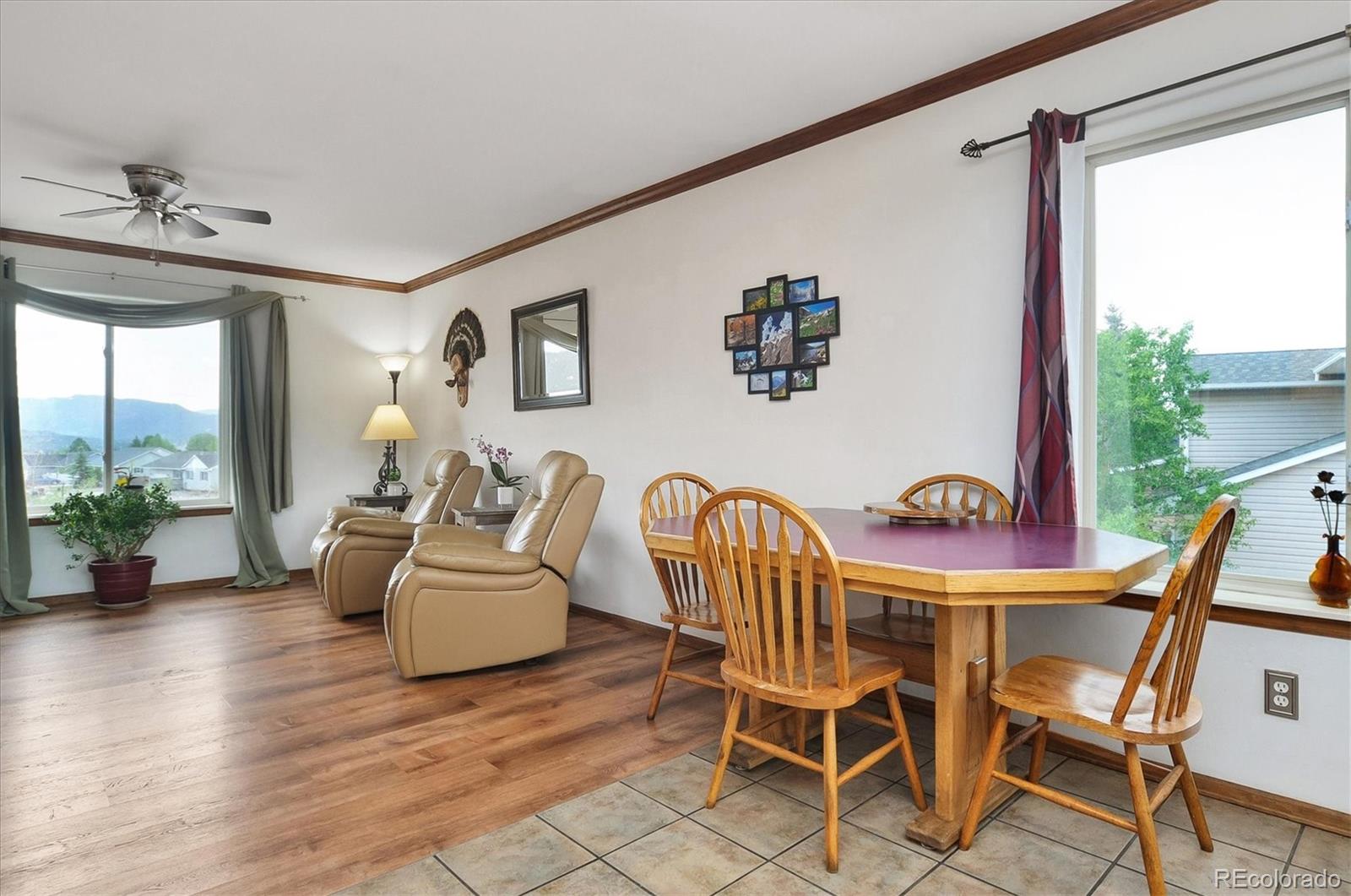 MLS Image #6 for 172  larissa lane,buena vista, Colorado