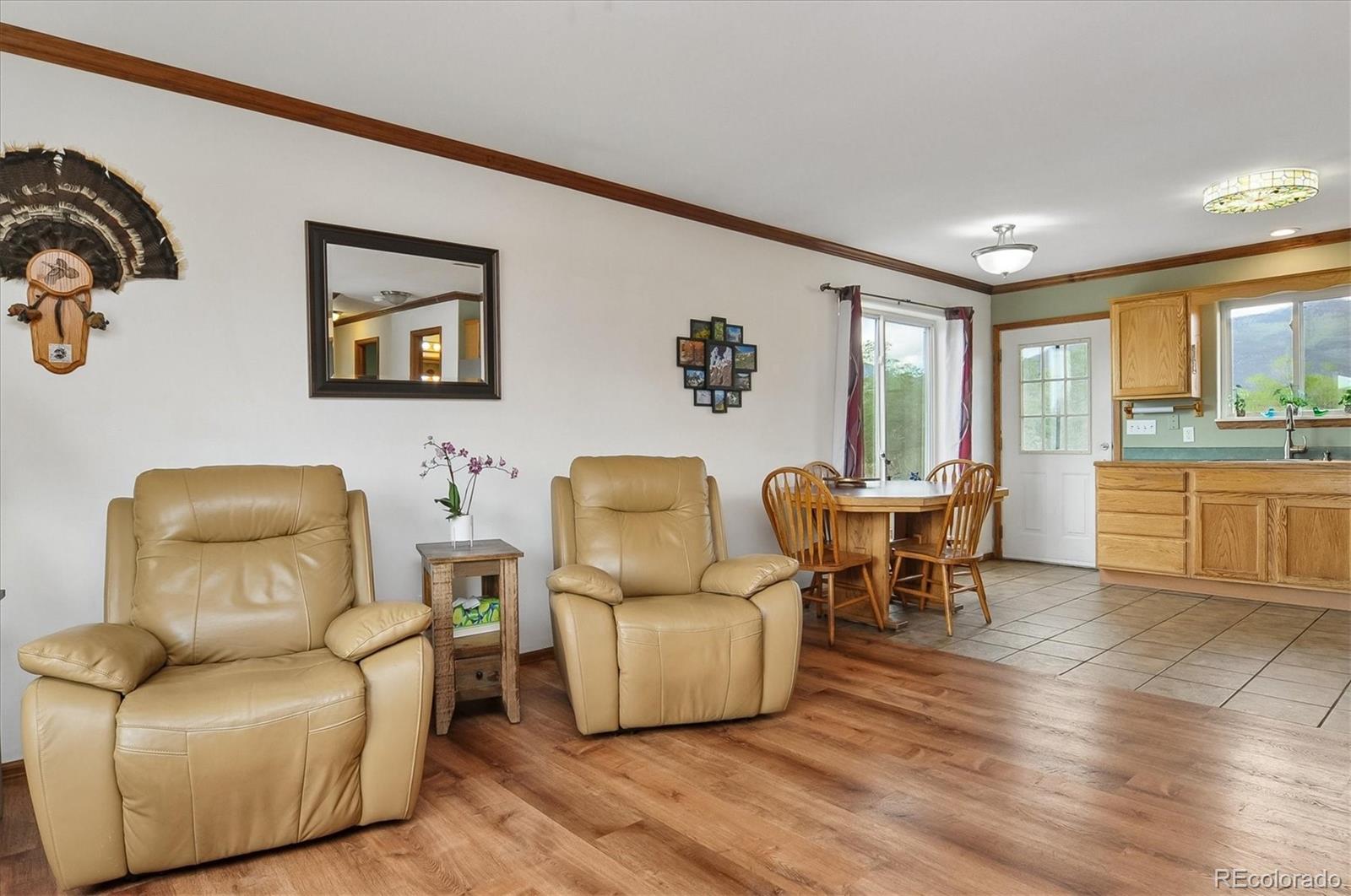 MLS Image #7 for 172  larissa lane,buena vista, Colorado