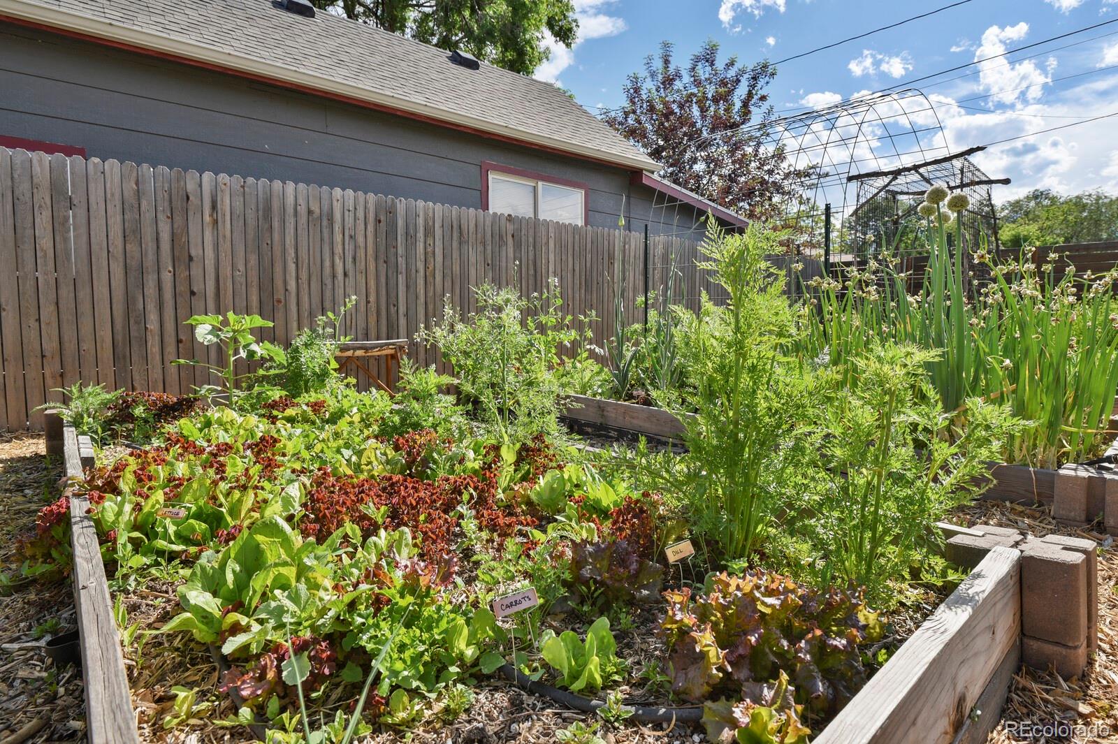 MLS Image #40 for 915 s baltic street,colorado springs, Colorado