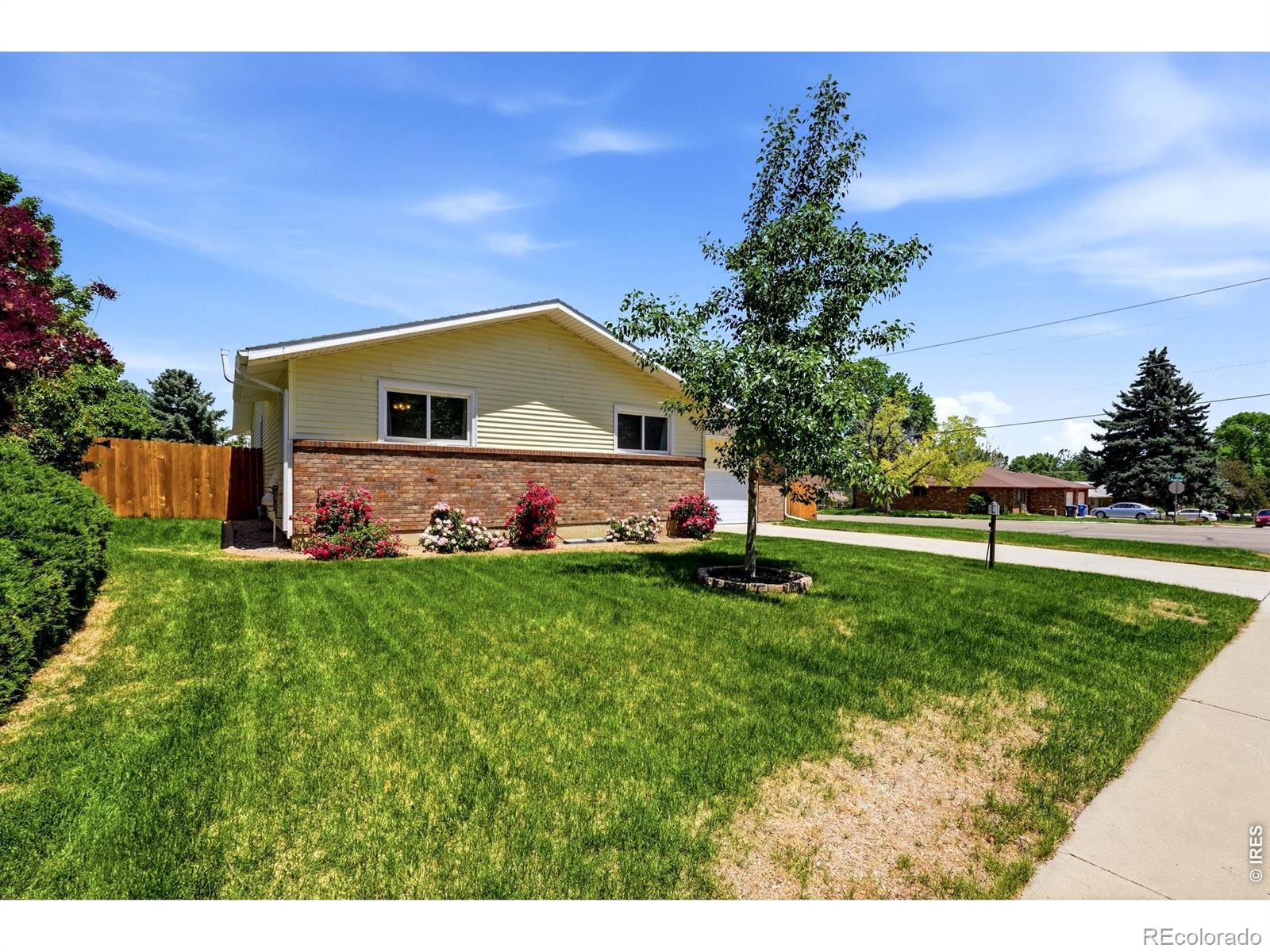MLS Image #3 for 1281 e 21st court,loveland, Colorado