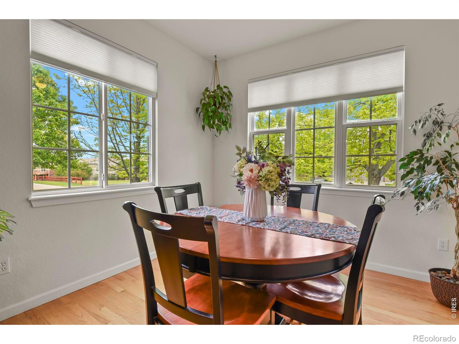 MLS Image #10 for 3449  morning song court,castle rock, Colorado