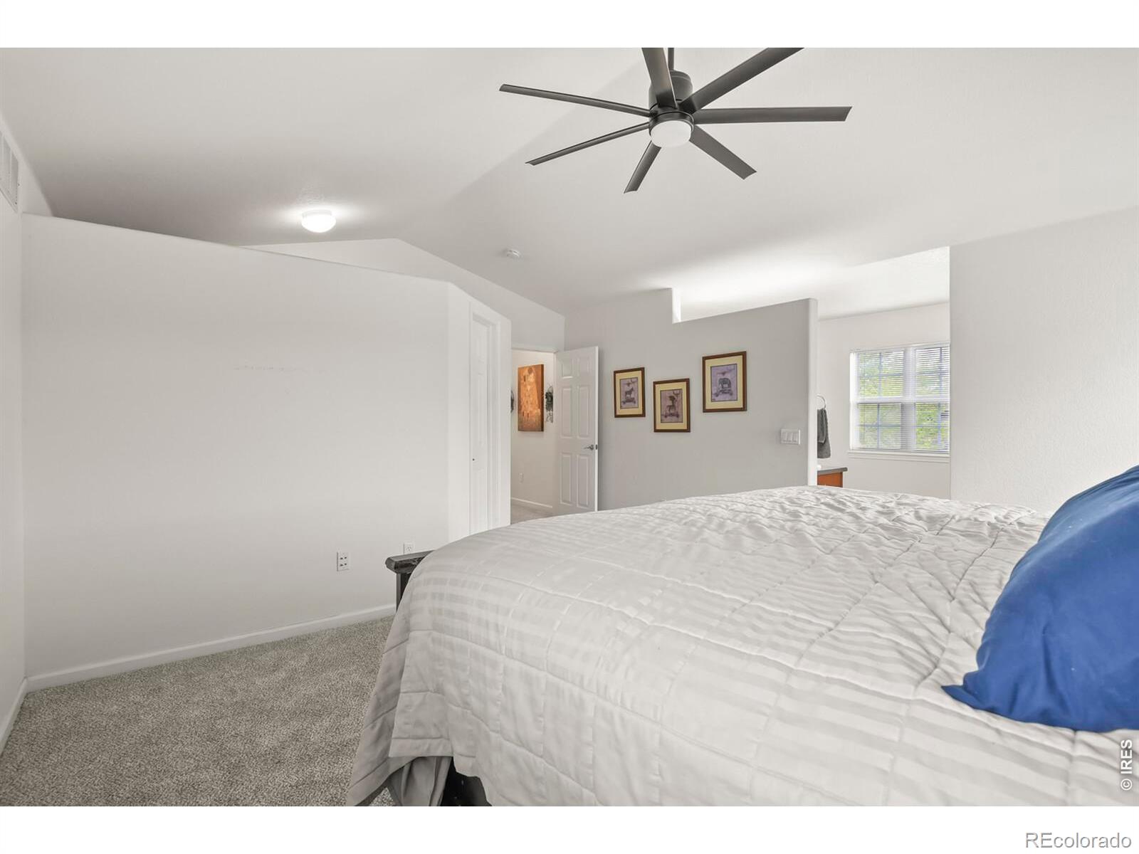 MLS Image #22 for 3449  morning song court,castle rock, Colorado