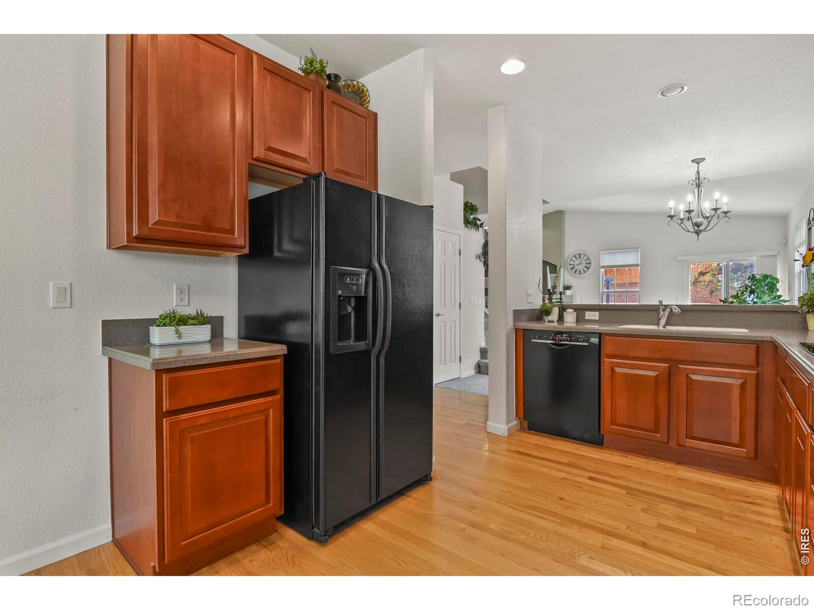 MLS Image #7 for 3449  morning song court,castle rock, Colorado