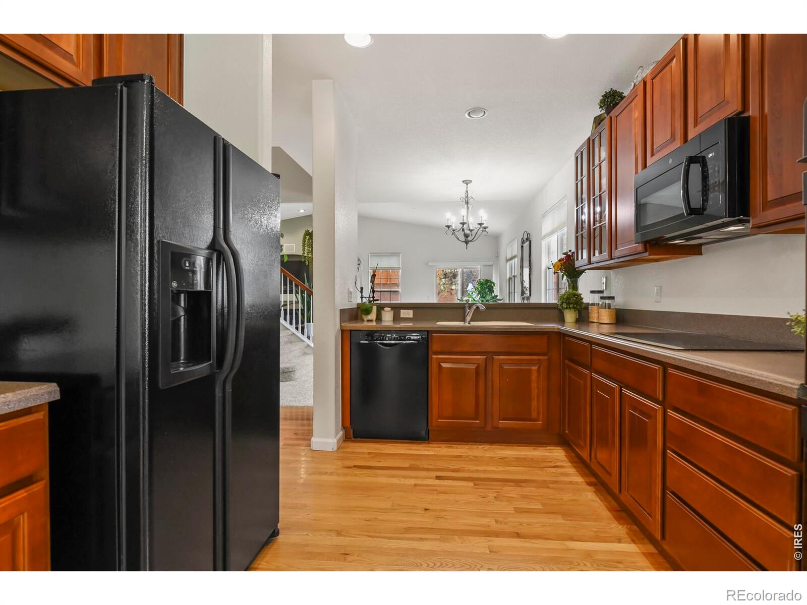 MLS Image #8 for 3449  morning song court,castle rock, Colorado