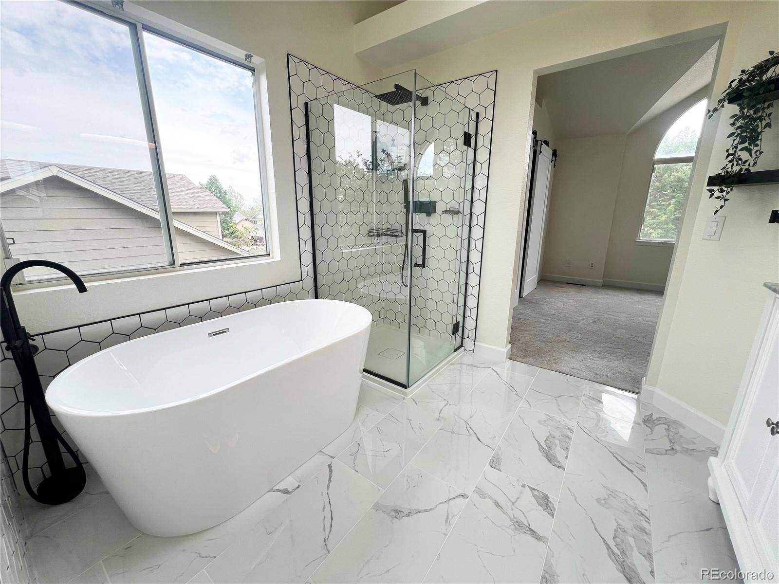 MLS Image #20 for 5019 s espana way,centennial, Colorado