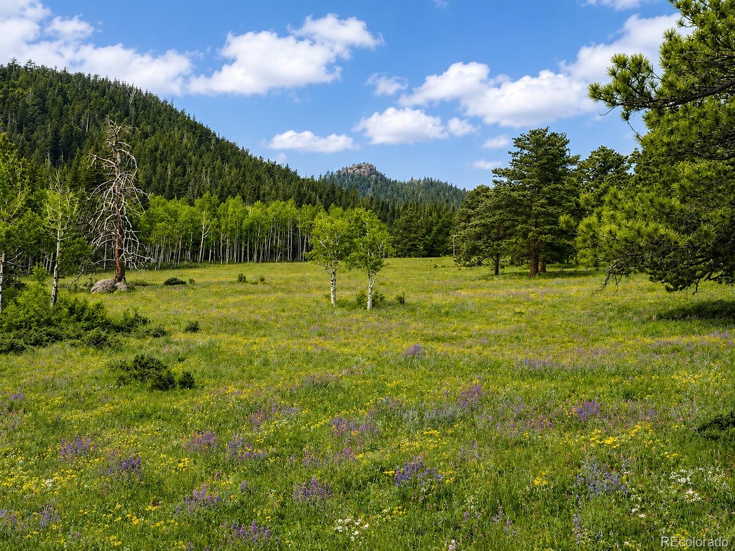 MLS Image #13 for 1001  county road 86 ,red feather lakes, Colorado