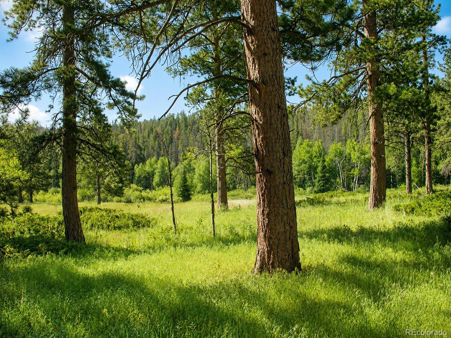 MLS Image #14 for 1001  county road 86 ,red feather lakes, Colorado