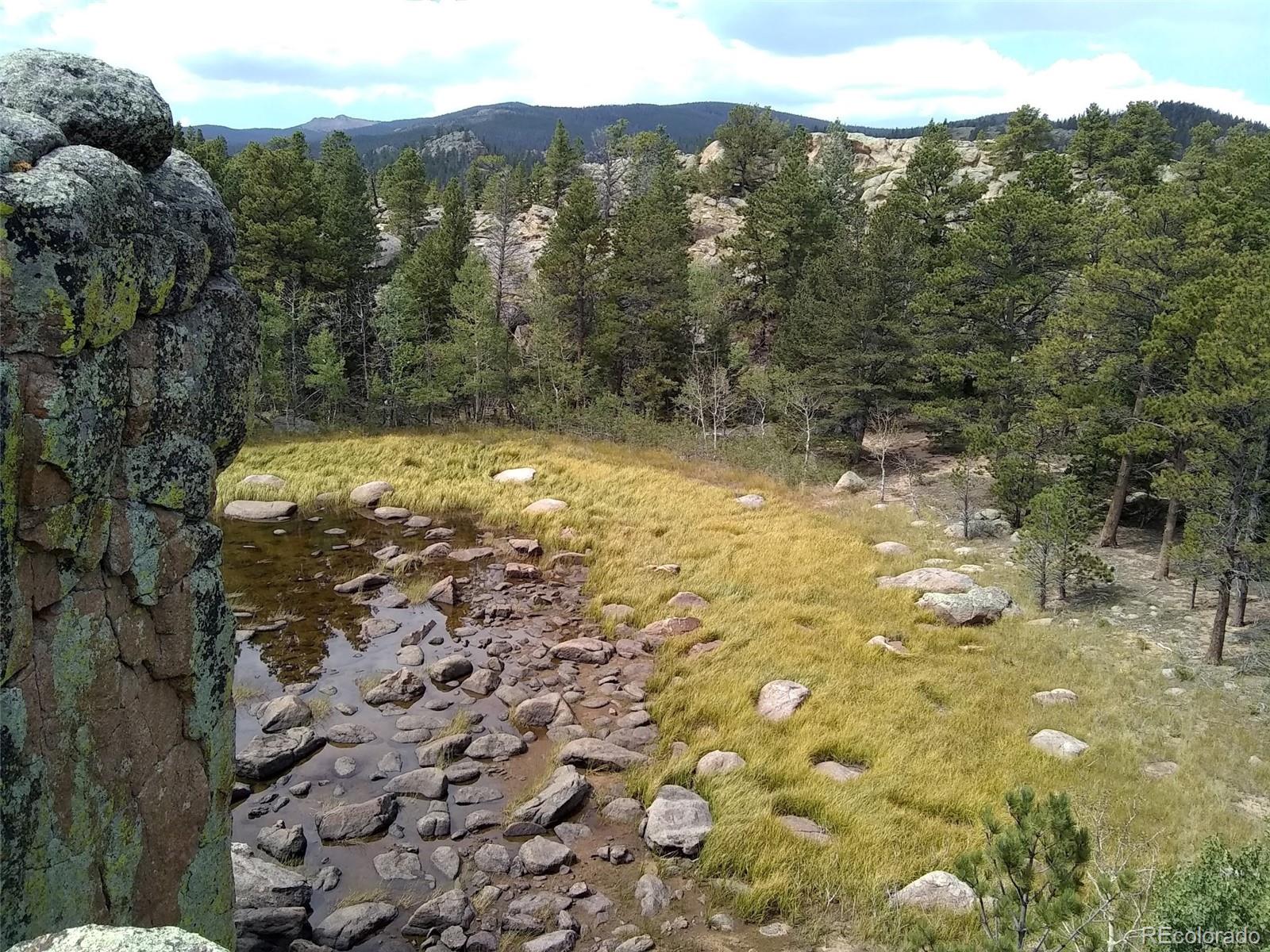 MLS Image #20 for 1001  county road 86 ,red feather lakes, Colorado