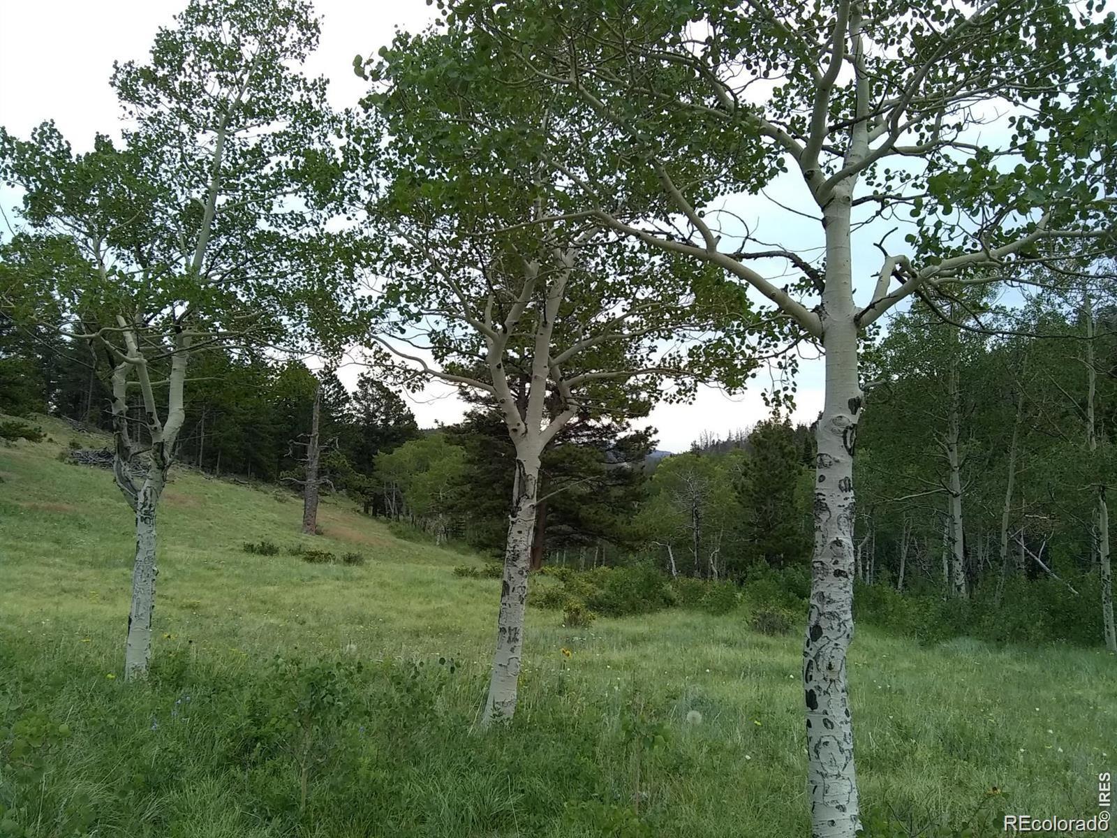 MLS Image #25 for 1001  county road 86 ,red feather lakes, Colorado