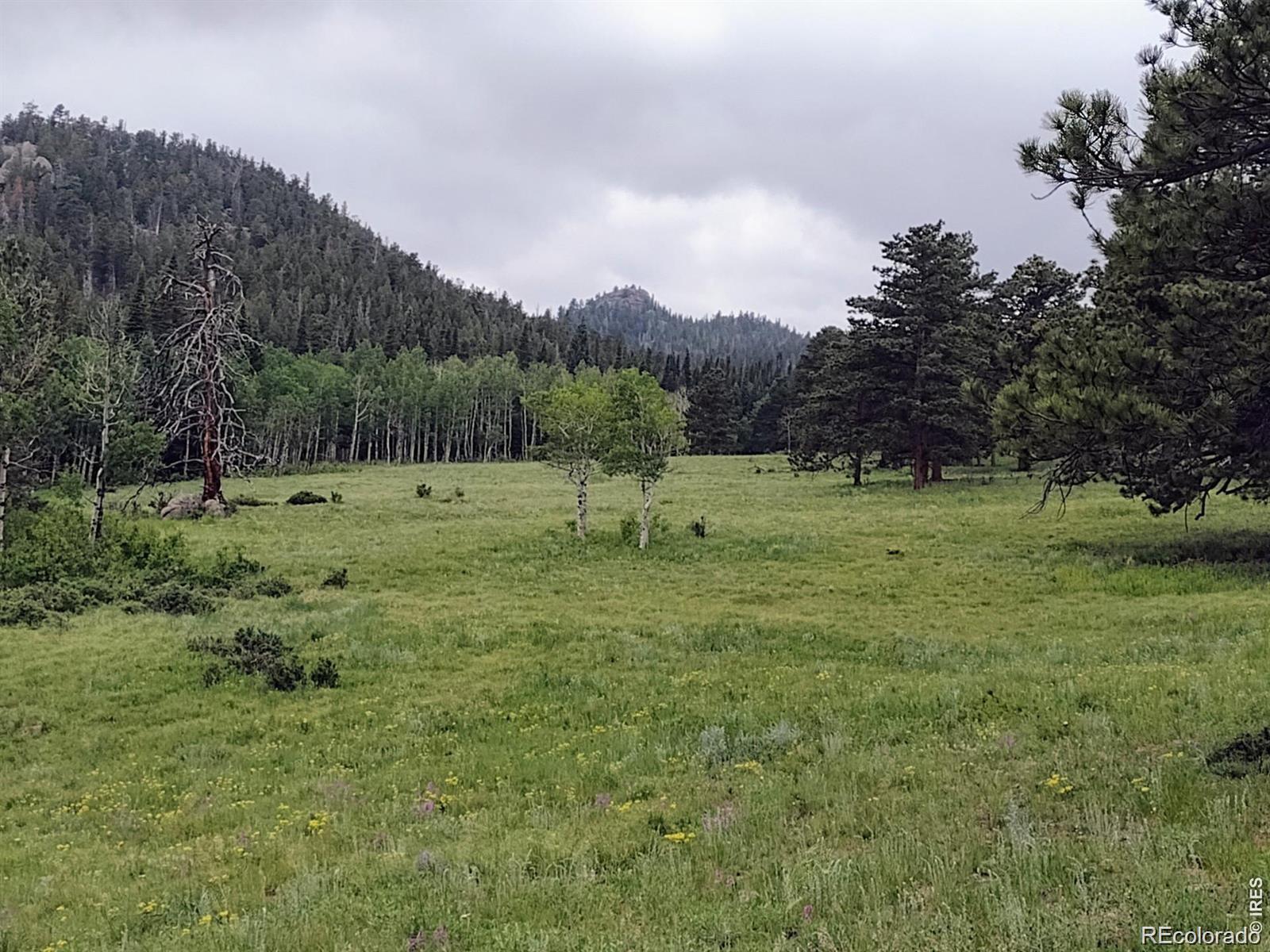 MLS Image #26 for 1001  county road 86 ,red feather lakes, Colorado