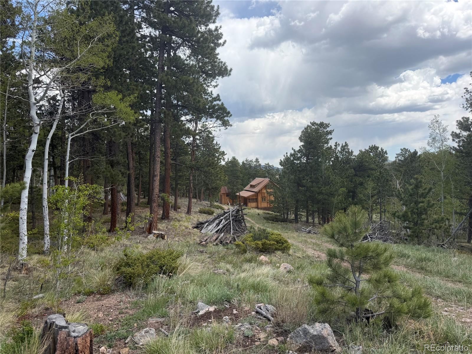 MLS Image #27 for 1001  county road 86 ,red feather lakes, Colorado