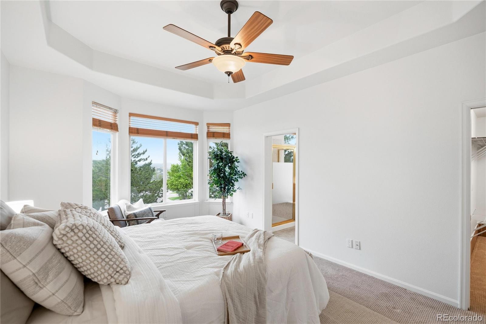MLS Image #12 for 519  stafford circle,castle rock, Colorado