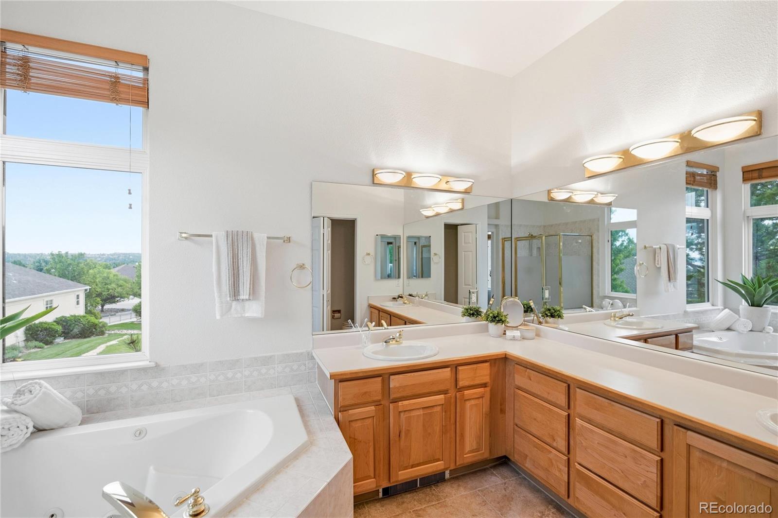 MLS Image #13 for 519  stafford circle,castle rock, Colorado