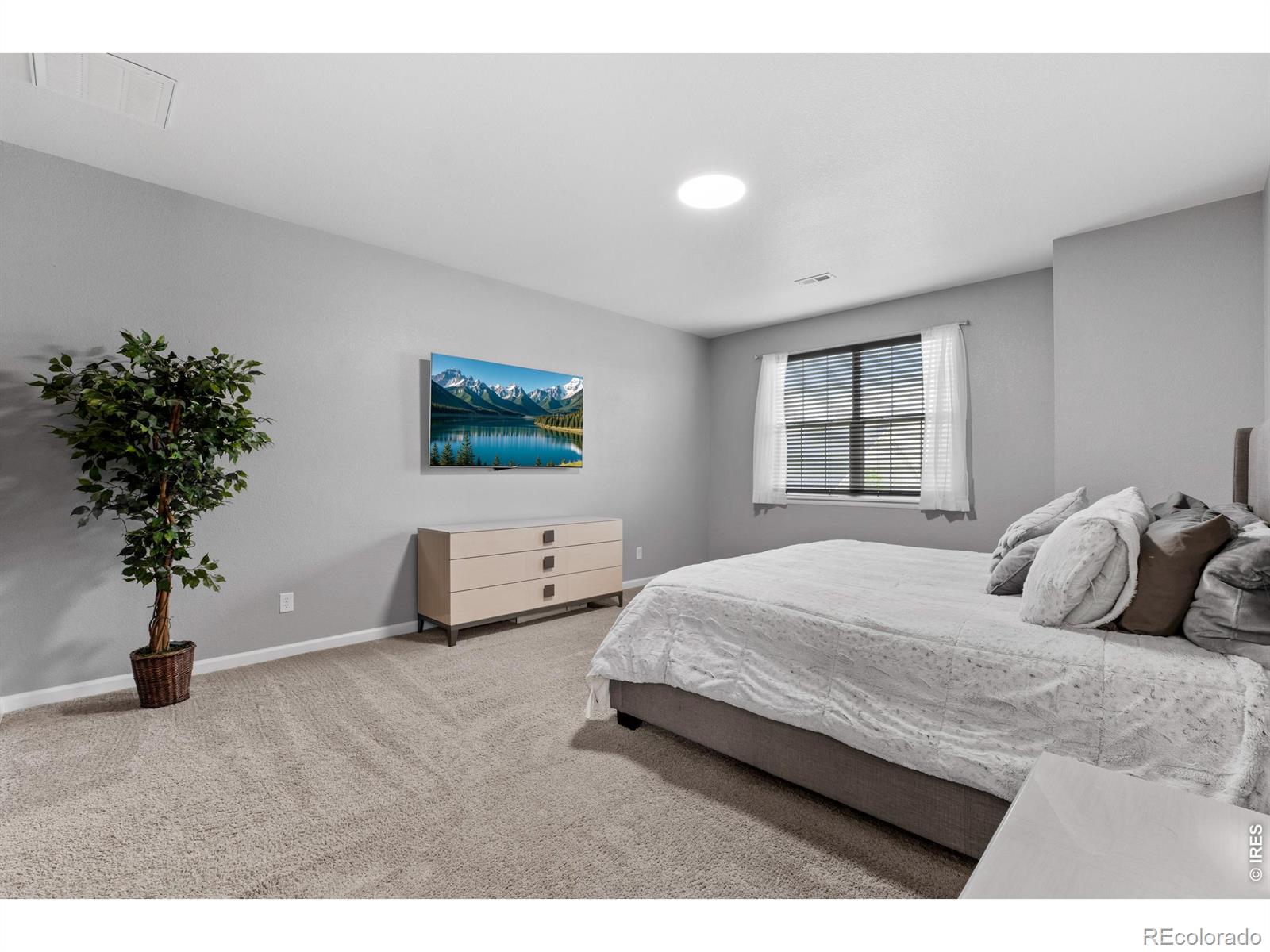 MLS Image #18 for 2314  spruce creek drive,fort collins, Colorado