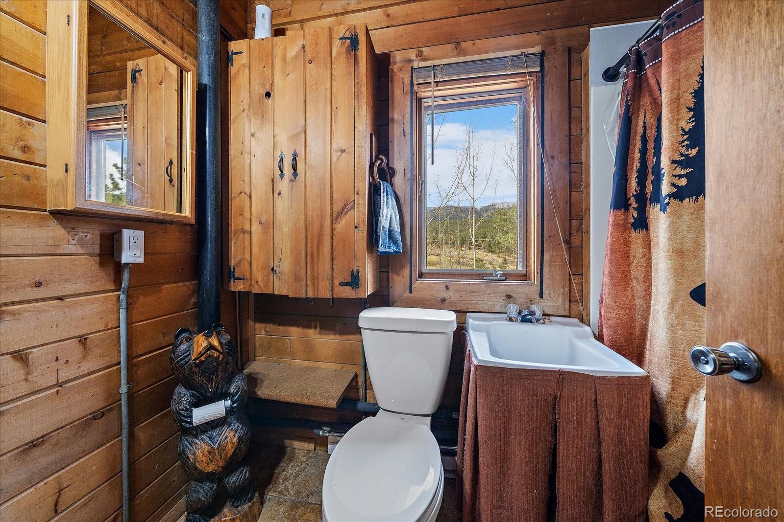 MLS Image #11 for 92  prospectors way,bailey, Colorado