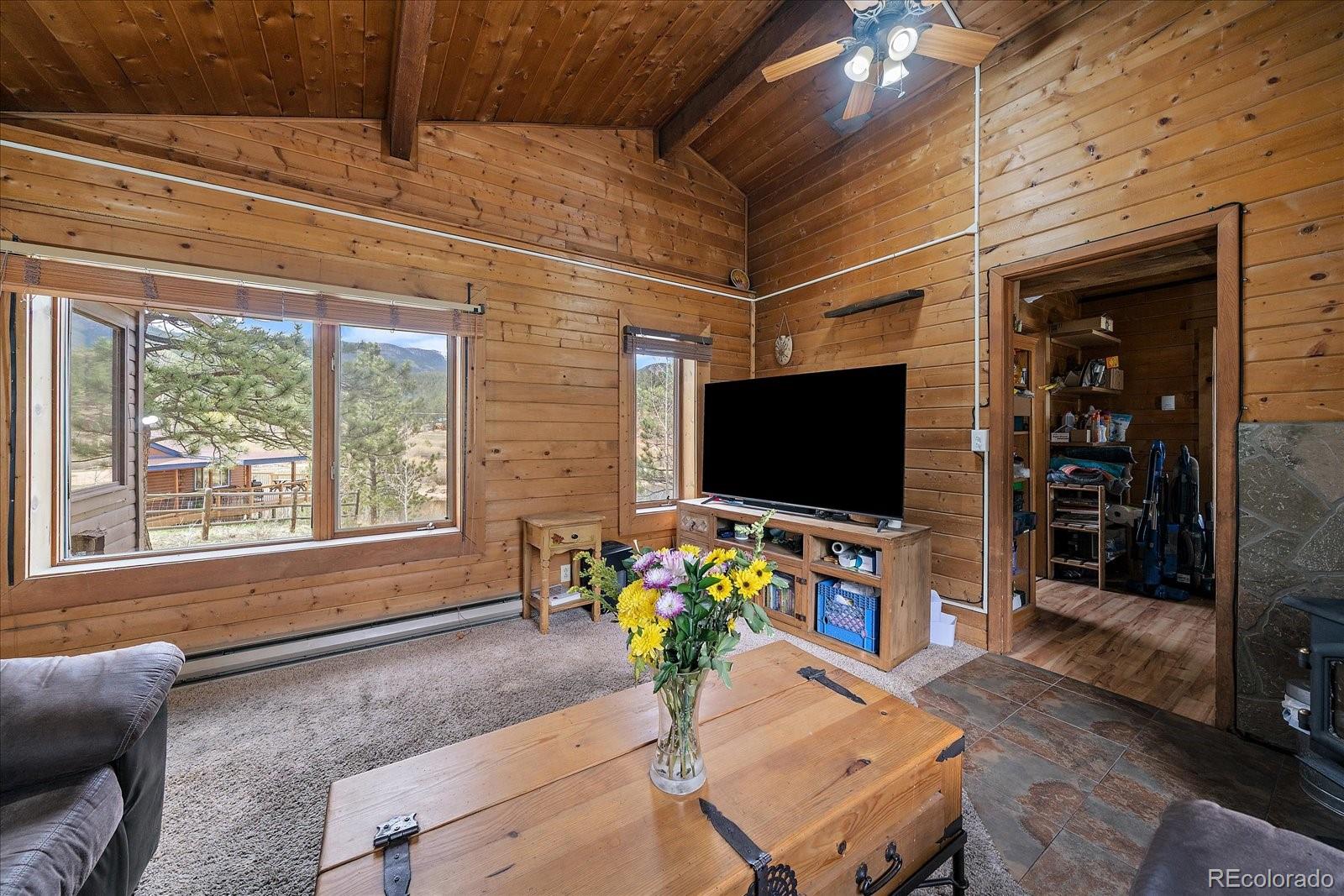 MLS Image #2 for 92  prospectors way,bailey, Colorado