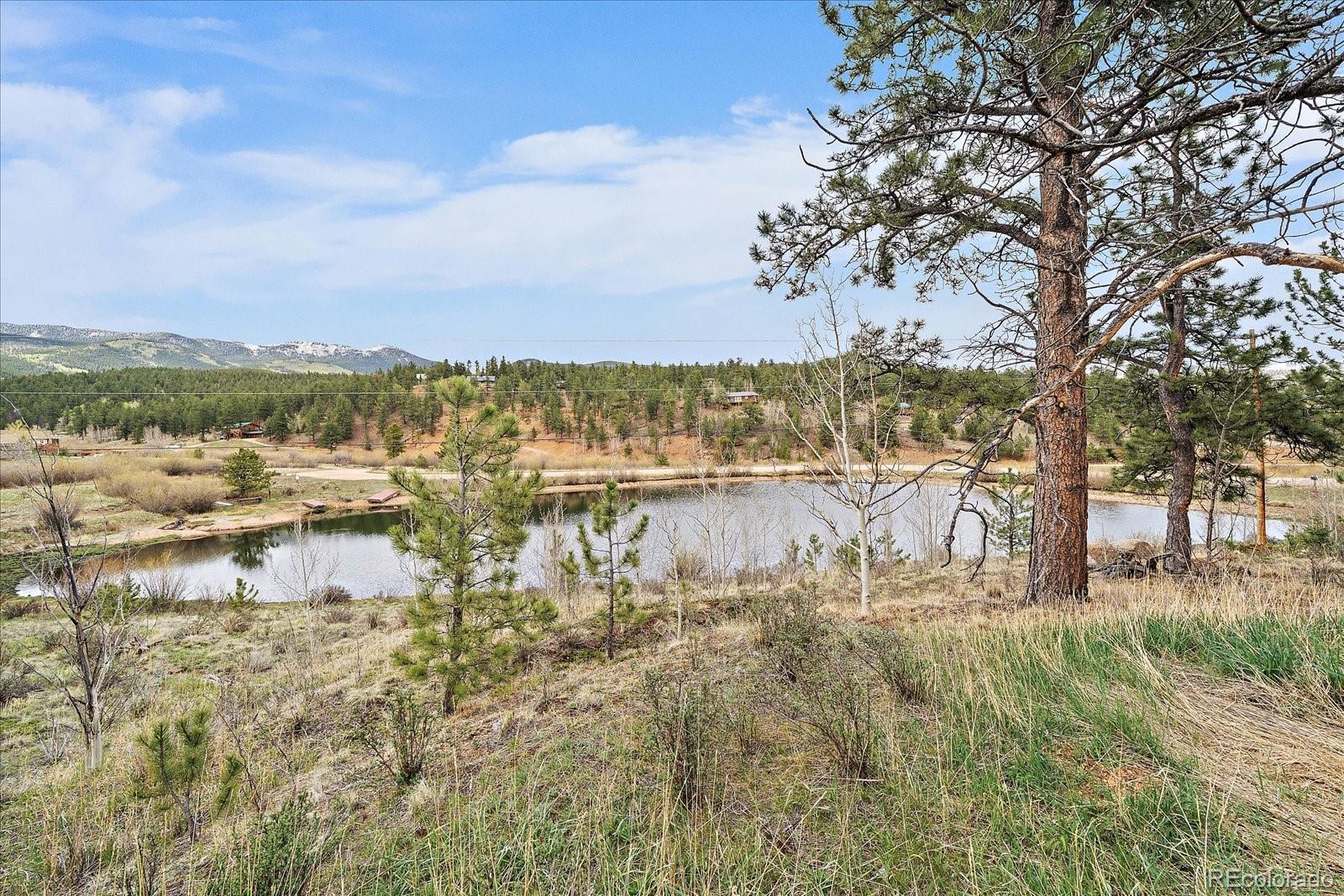 MLS Image #23 for 92  prospectors way,bailey, Colorado