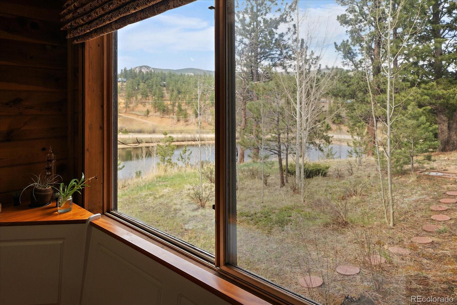 MLS Image #8 for 92  prospectors way,bailey, Colorado