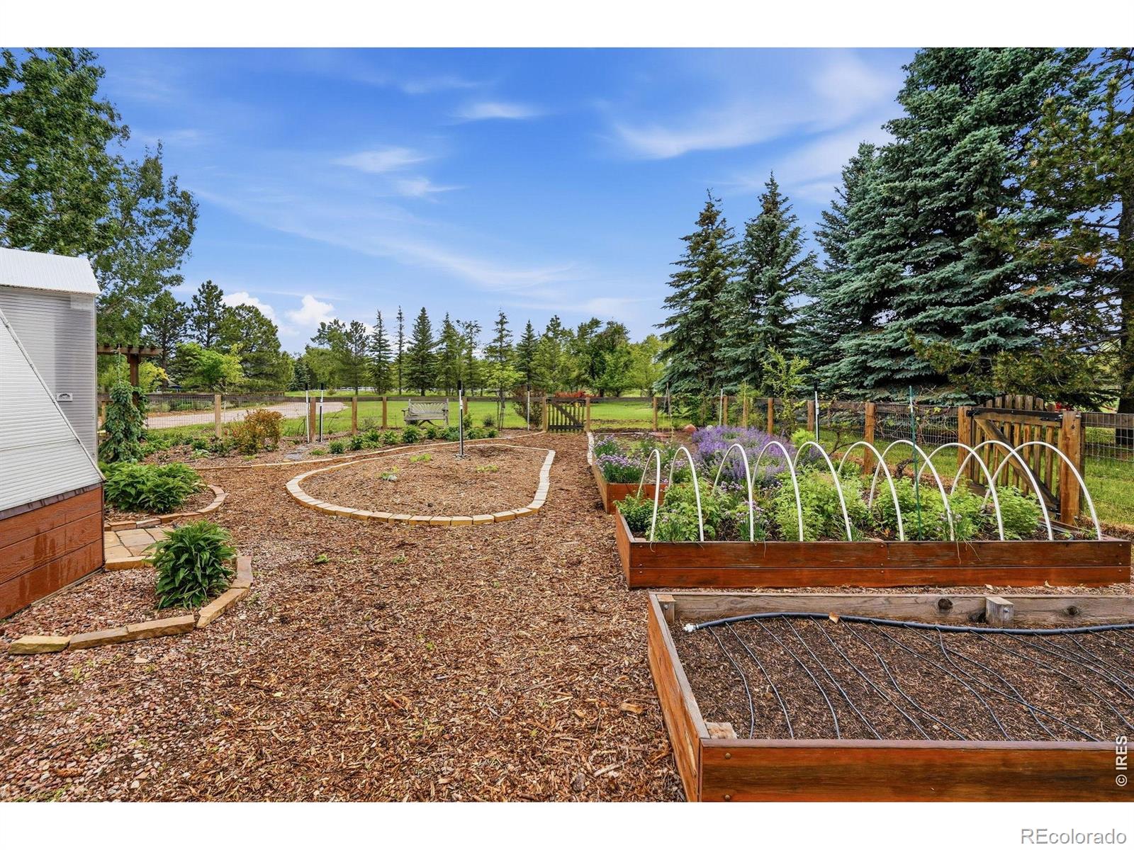 MLS Image #8 for 3166  stargazer court,fort collins, Colorado