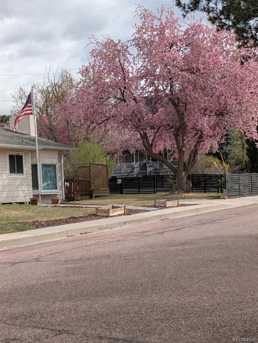 MLS Image #41 for 1802  mayan court,colorado springs, Colorado