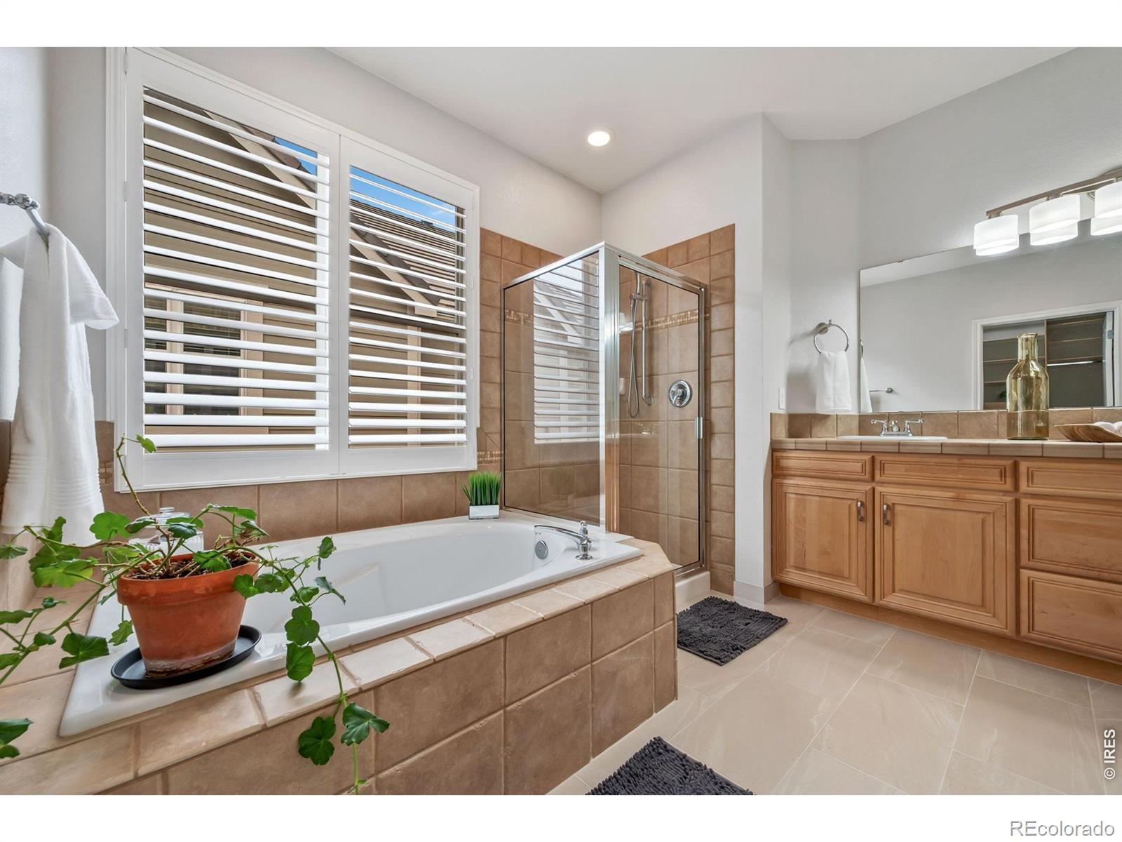 MLS Image #17 for 836  windflower drive,longmont, Colorado