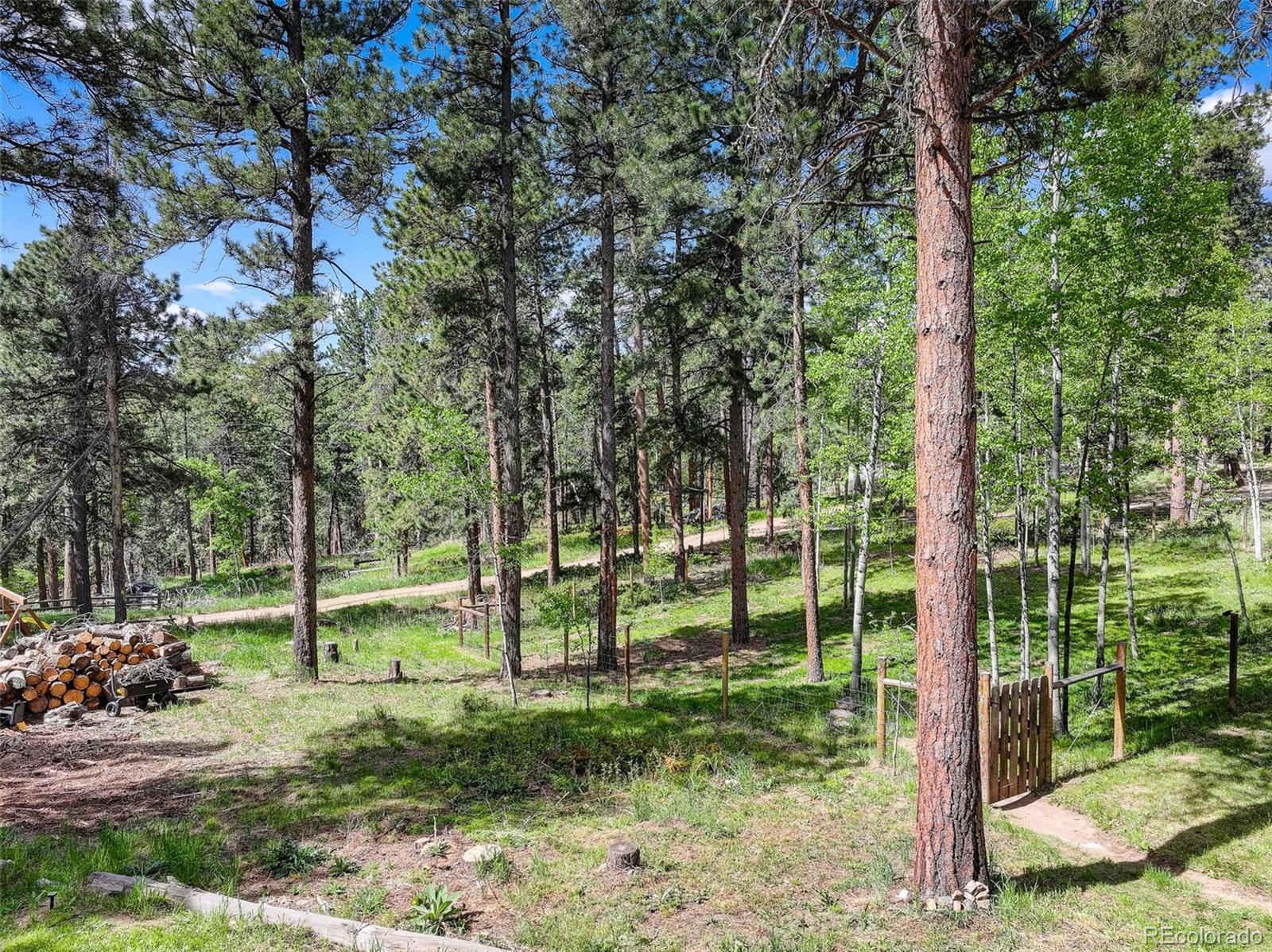 MLS Image #38 for 11135  kennedy avenue,conifer, Colorado