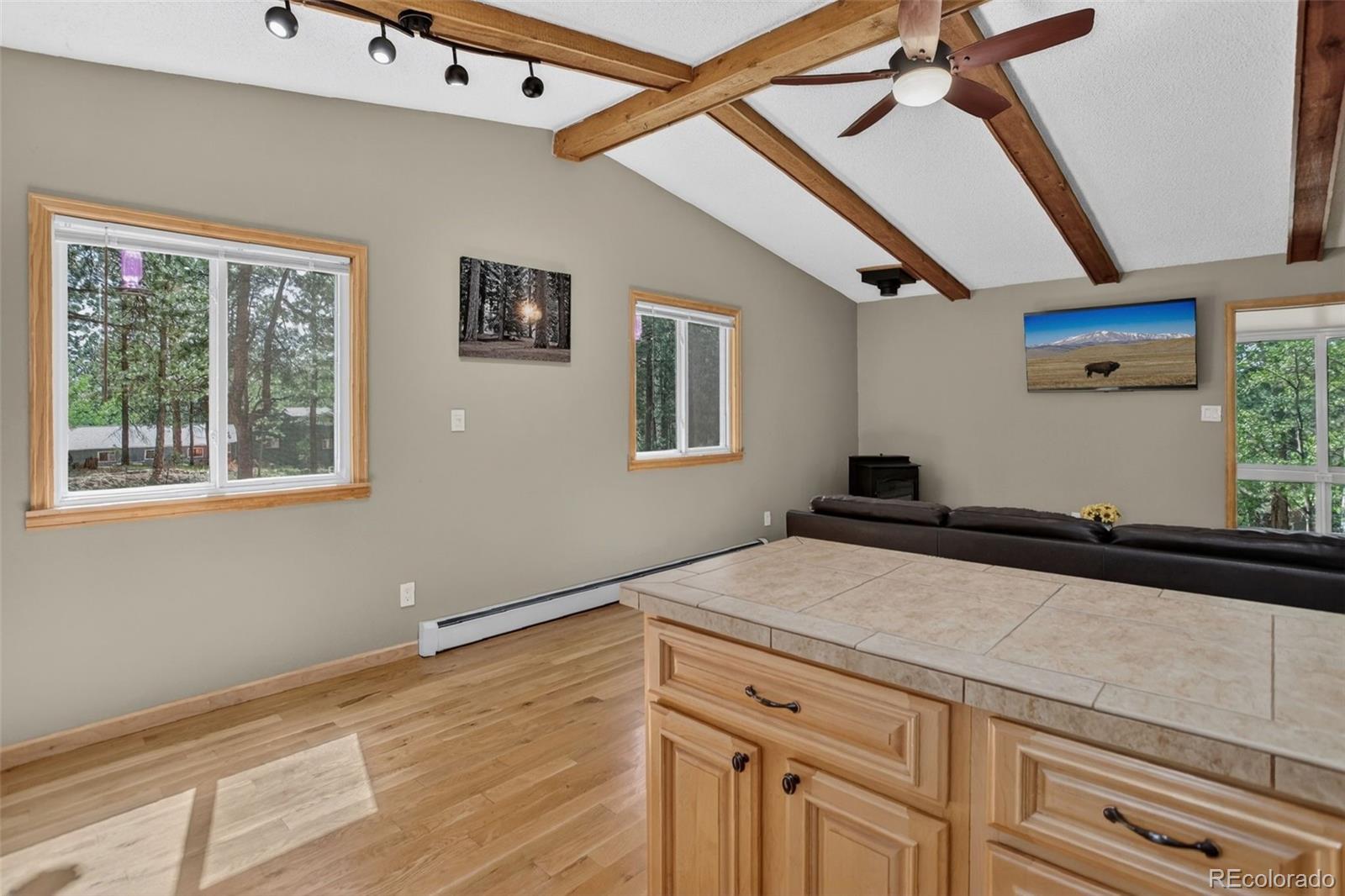 MLS Image #7 for 11135  kennedy avenue,conifer, Colorado