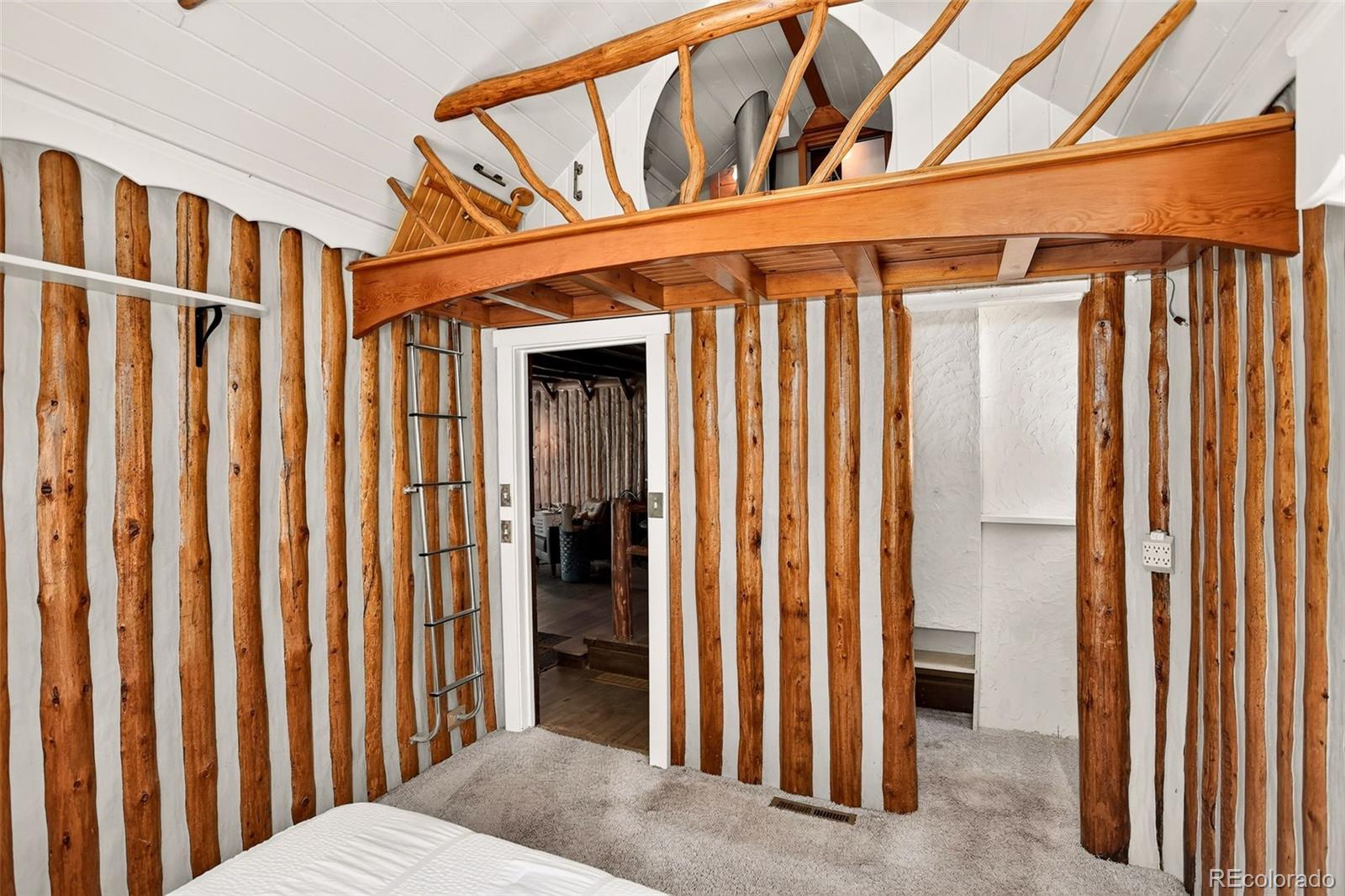 MLS Image #16 for 28942  shadow mountain drive,conifer, Colorado