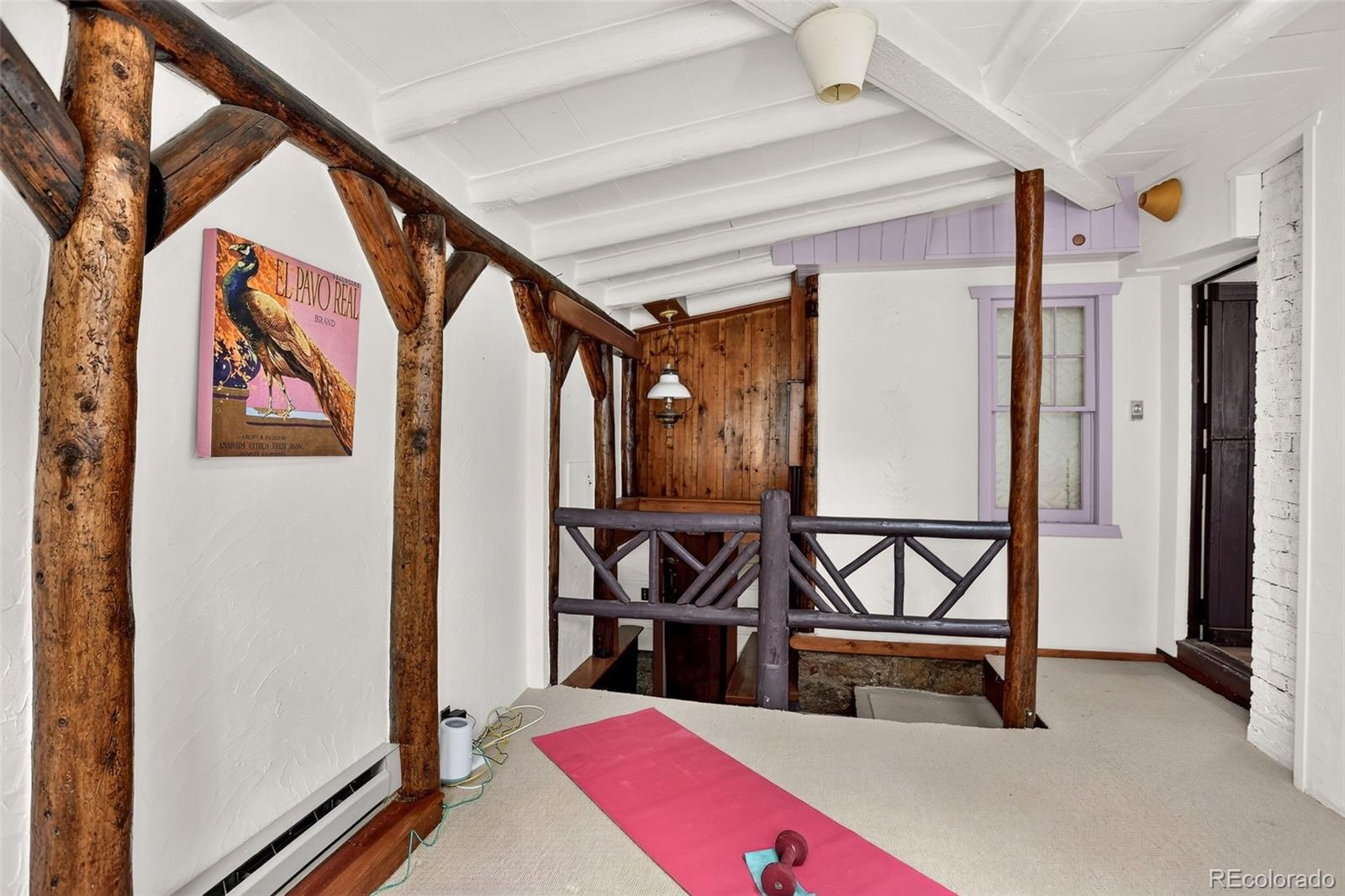 MLS Image #26 for 28942  shadow mountain drive,conifer, Colorado