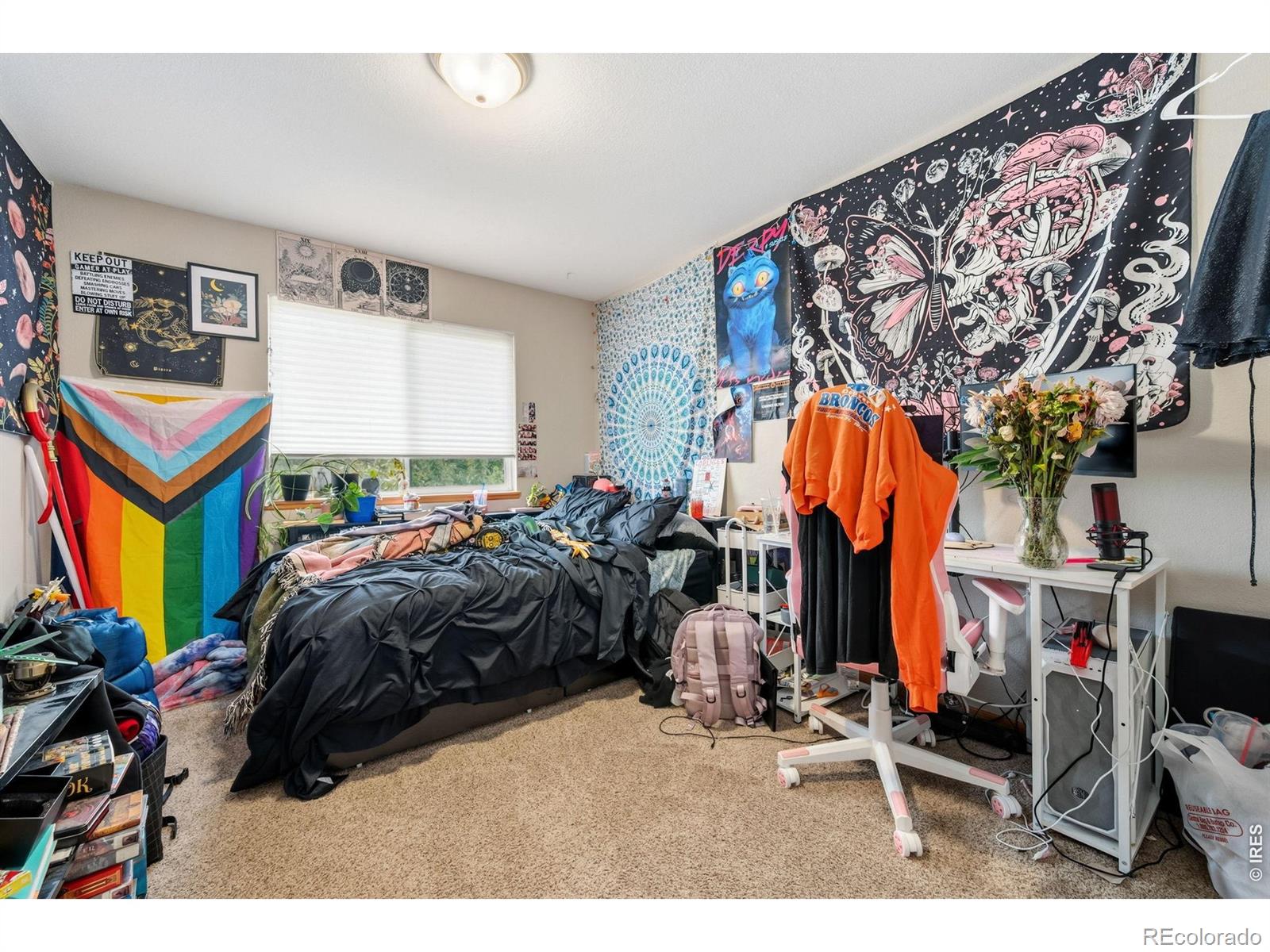 MLS Image #10 for 1637  westbridge drive,fort collins, Colorado
