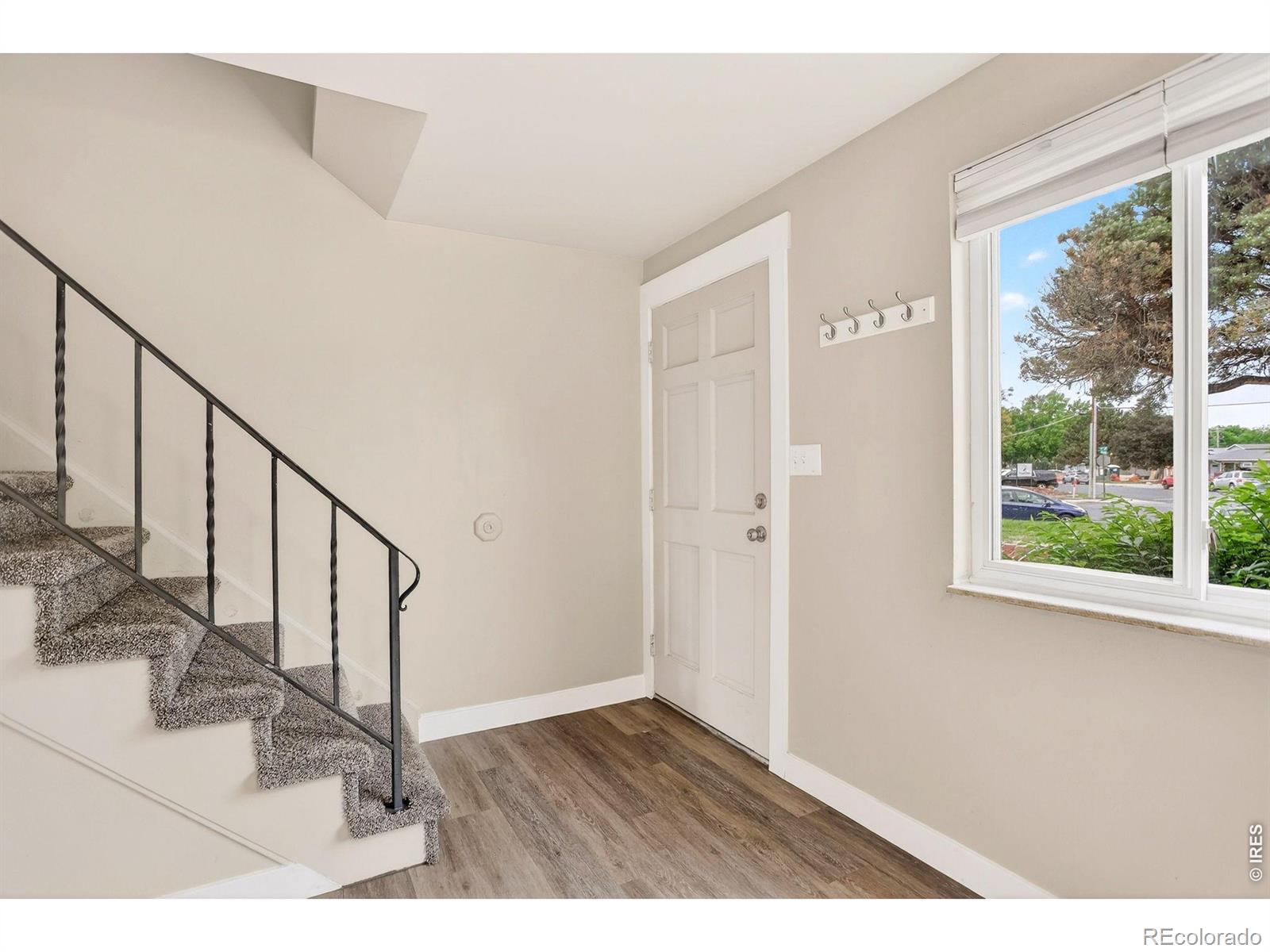MLS Image #12 for 221  chestnut street,windsor, Colorado
