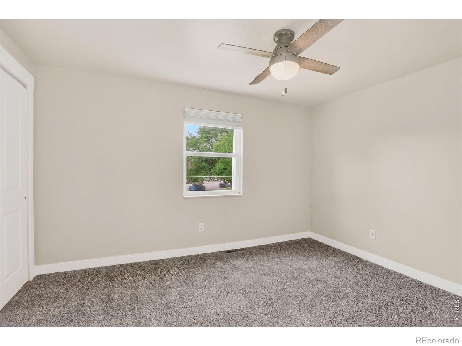 MLS Image #24 for 221  chestnut street,windsor, Colorado