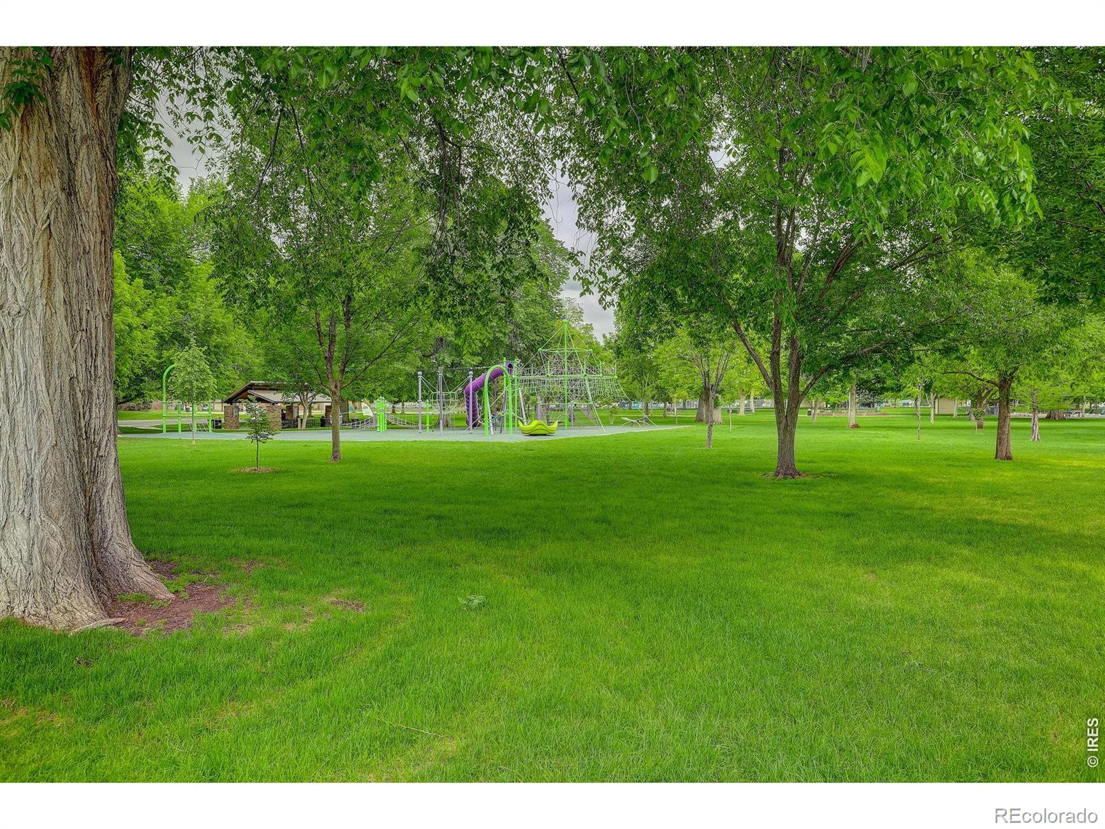 MLS Image #34 for 221  chestnut street,windsor, Colorado