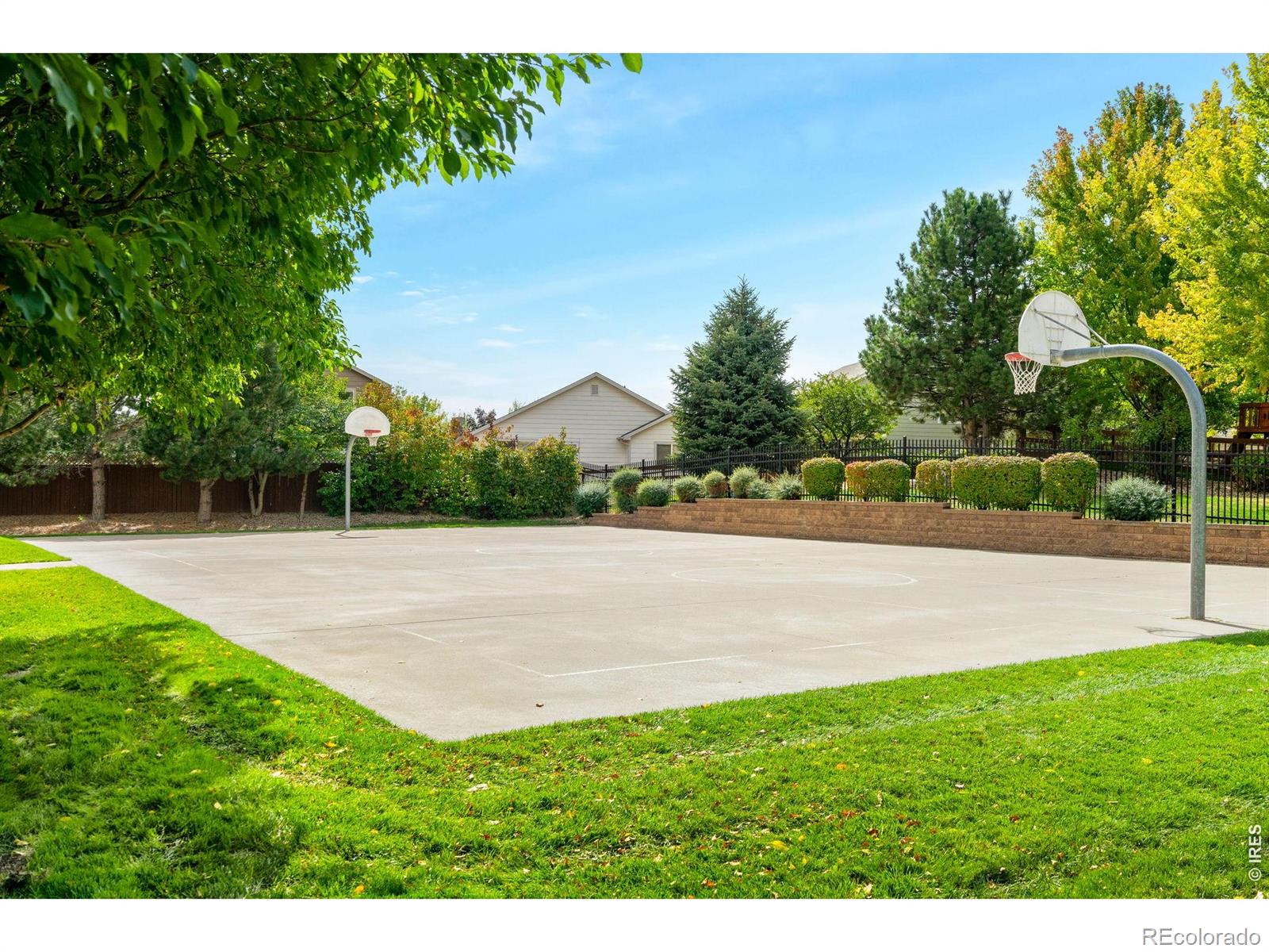 MLS Image #23 for 608  peyton drive,fort collins, Colorado