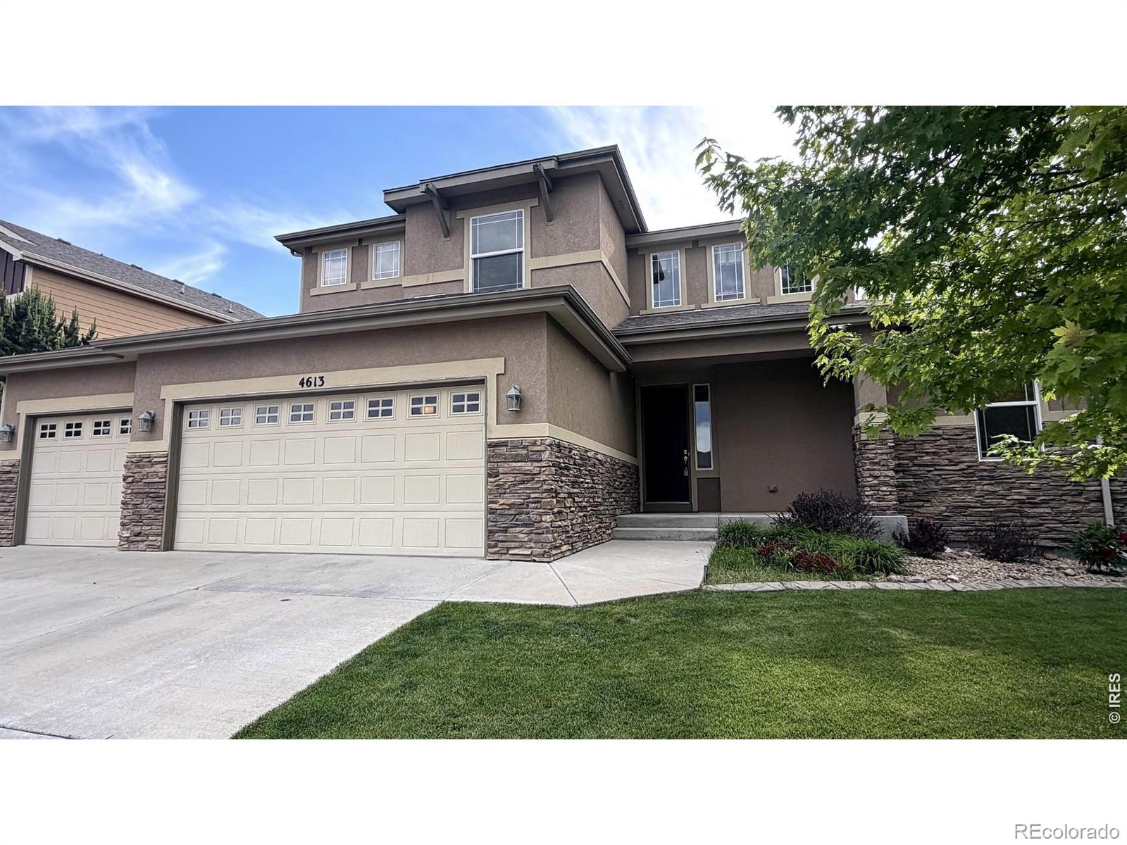 MLS Image #1 for 4613  pompano drive,windsor, Colorado