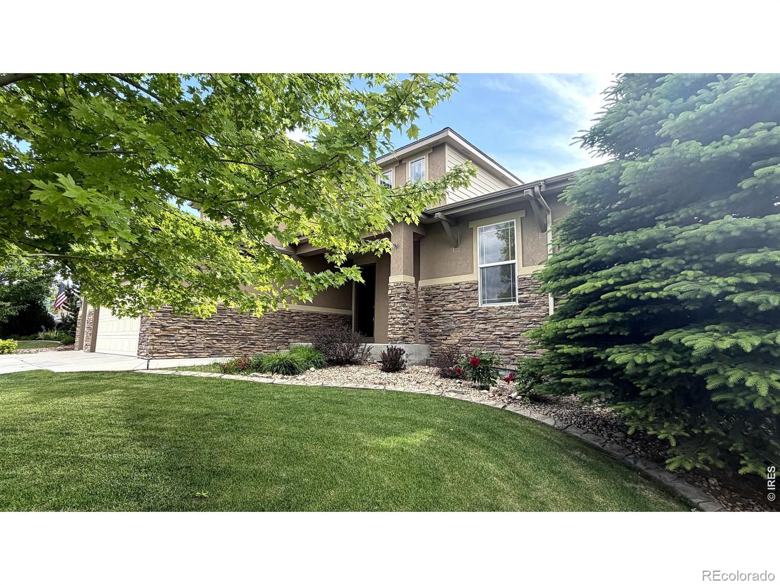MLS Image #2 for 4613  pompano drive,windsor, Colorado