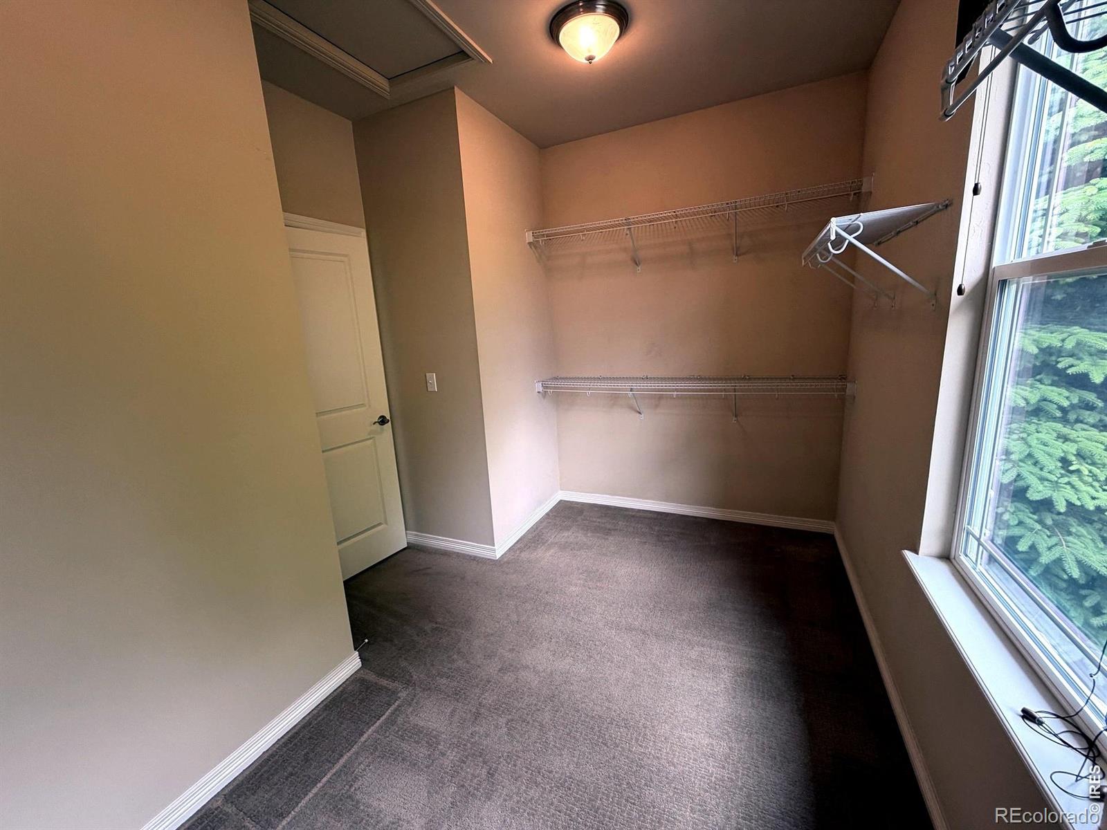 MLS Image #21 for 4613  pompano drive,windsor, Colorado